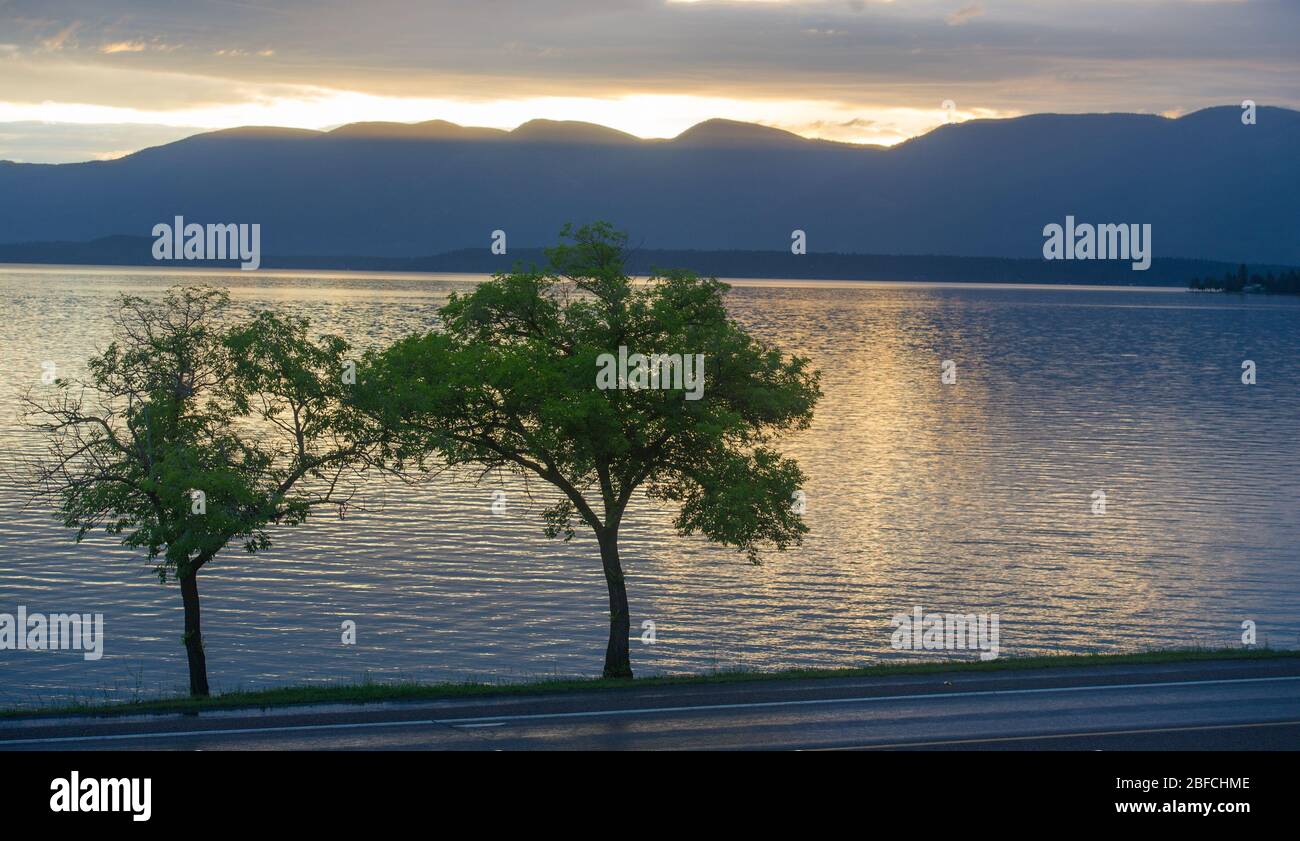 Zwei Bäume am Lake at Sunset at Waters Shore On Roadside Scenery on Road Trip in Montana mit Lichtreflektion Am See Wasser in der Dämmerung Berge im Rücken Stockfoto