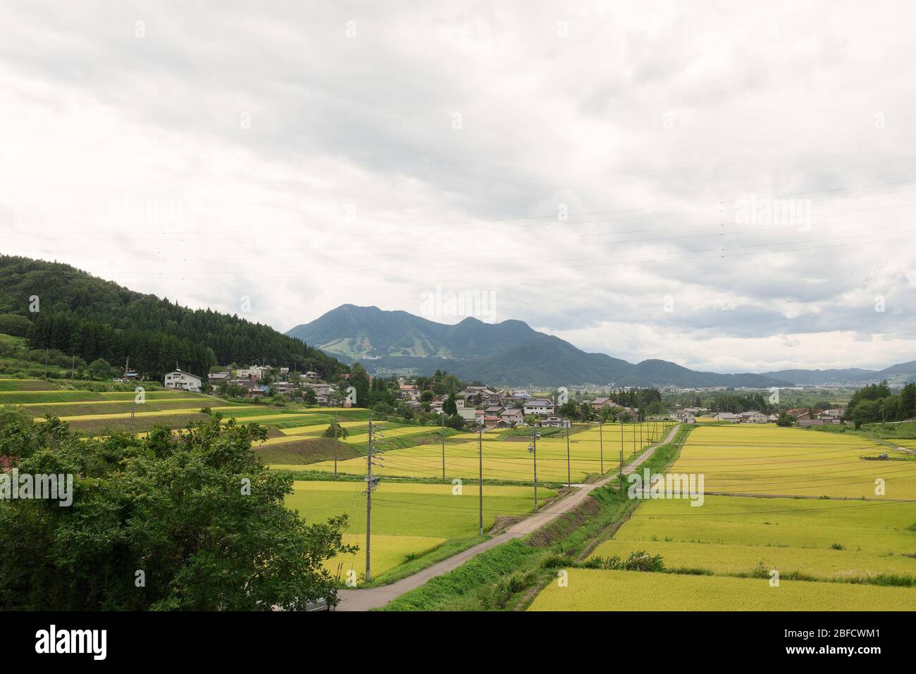 Landschaftlich und episch Blick auf eine Straße in der Mitte der Reisfelder vom Hügel, im Hintergrund die Bergkette und Skipisten durch die sk Stockfoto