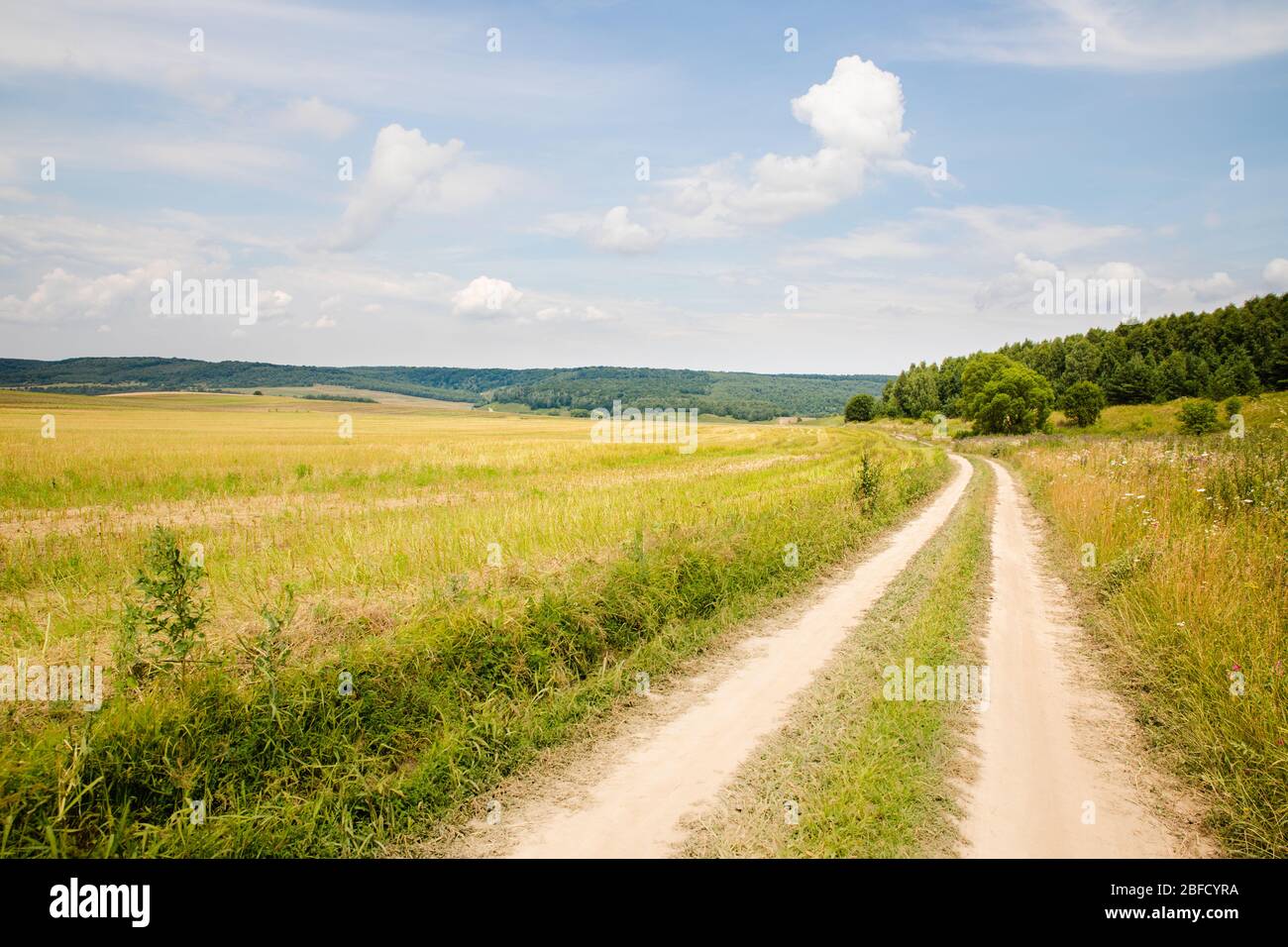 Landschaftlich Weg in grünen Sommerfeld mit blauem Himmel Hintergrund, Sommerlandschaft der Ukraine Landschaft Natur Stockfoto