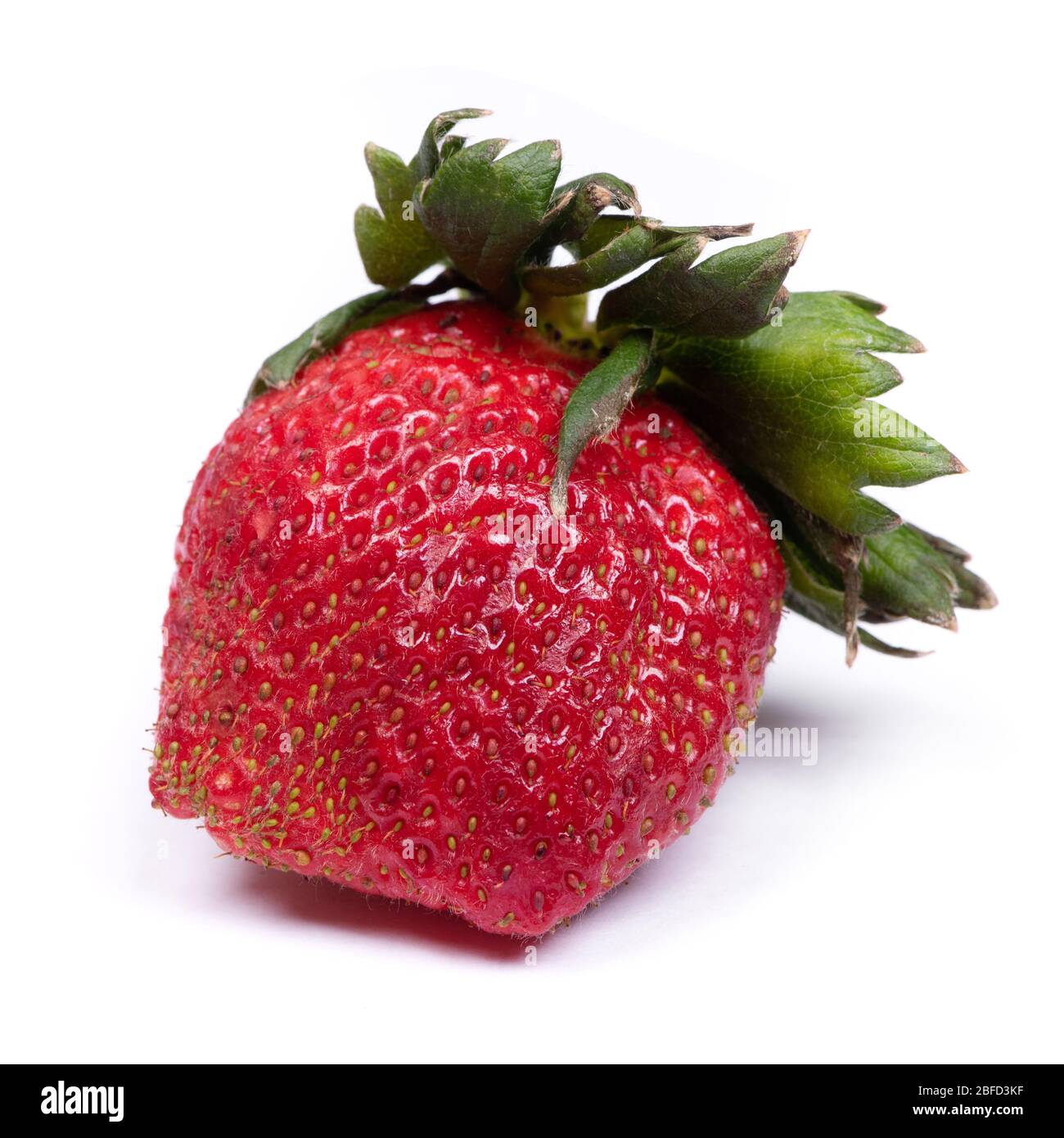 Quadratische Erdbeere isoliert auf weißem Hintergrund Stockfoto