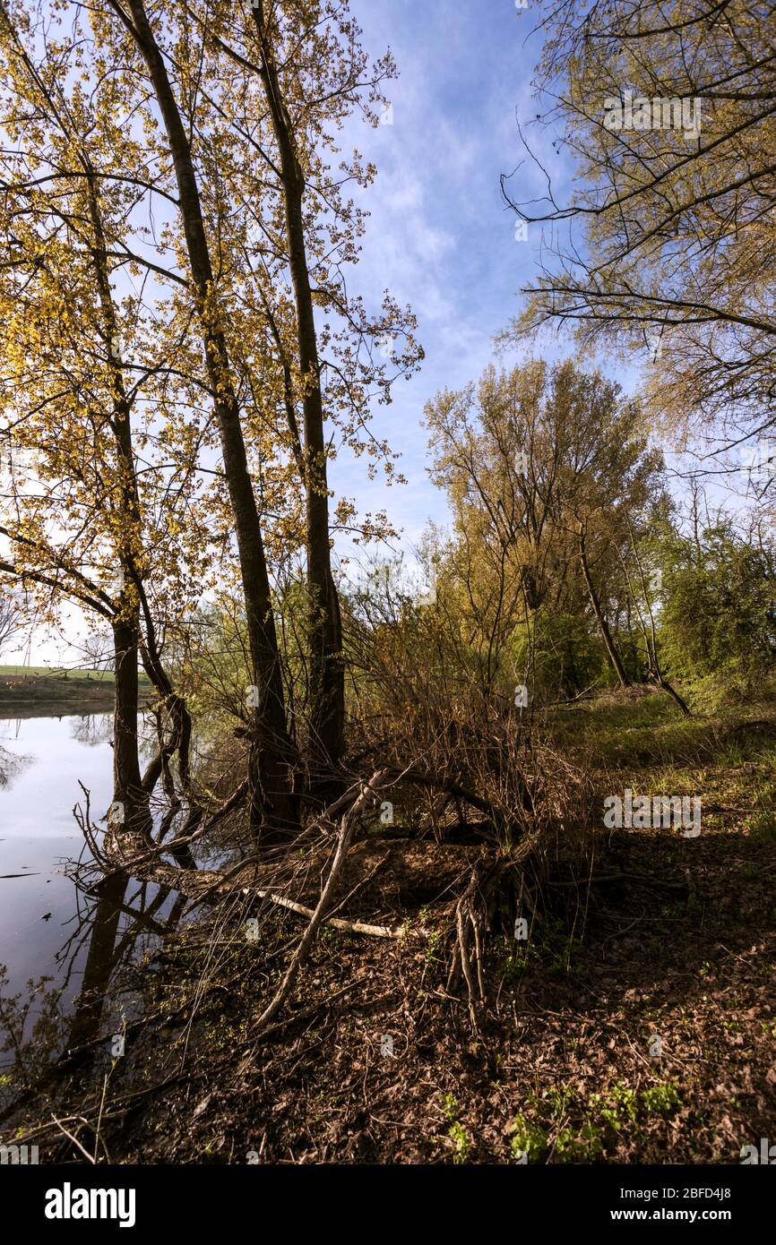 Abgelegenes Bauernhaus am Niederrhein in der unberührten Natur am Ufer des alten und ursprünglichen Rheins Stockfoto