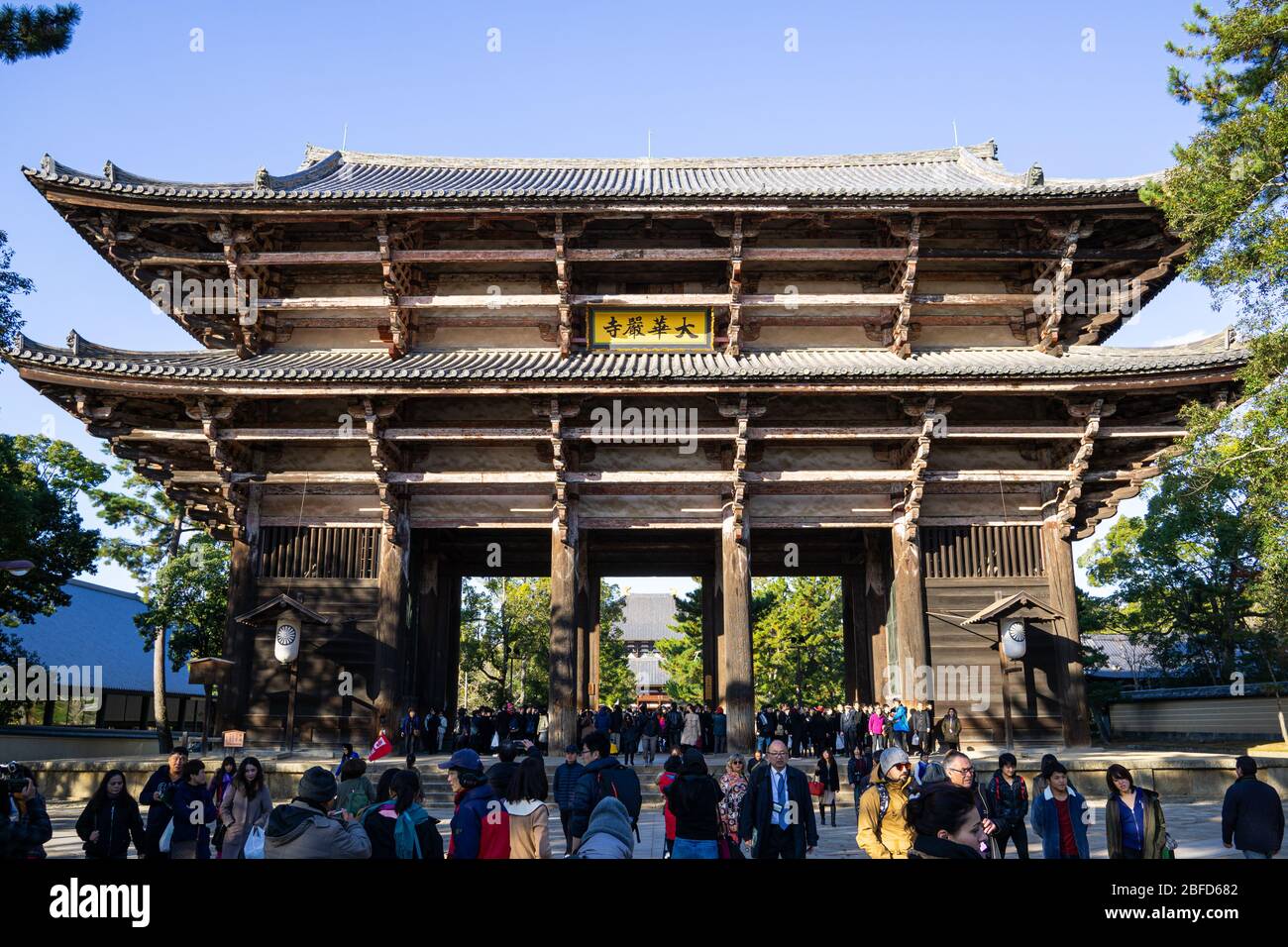 Der Nara Park ist ein großer Park in der Innenstadt von Nara, einer der ältesten Parks in Japan, der 1880 gegründet wurde. Über tausend Rehe sind zum Symbol der Th geworden Stockfoto