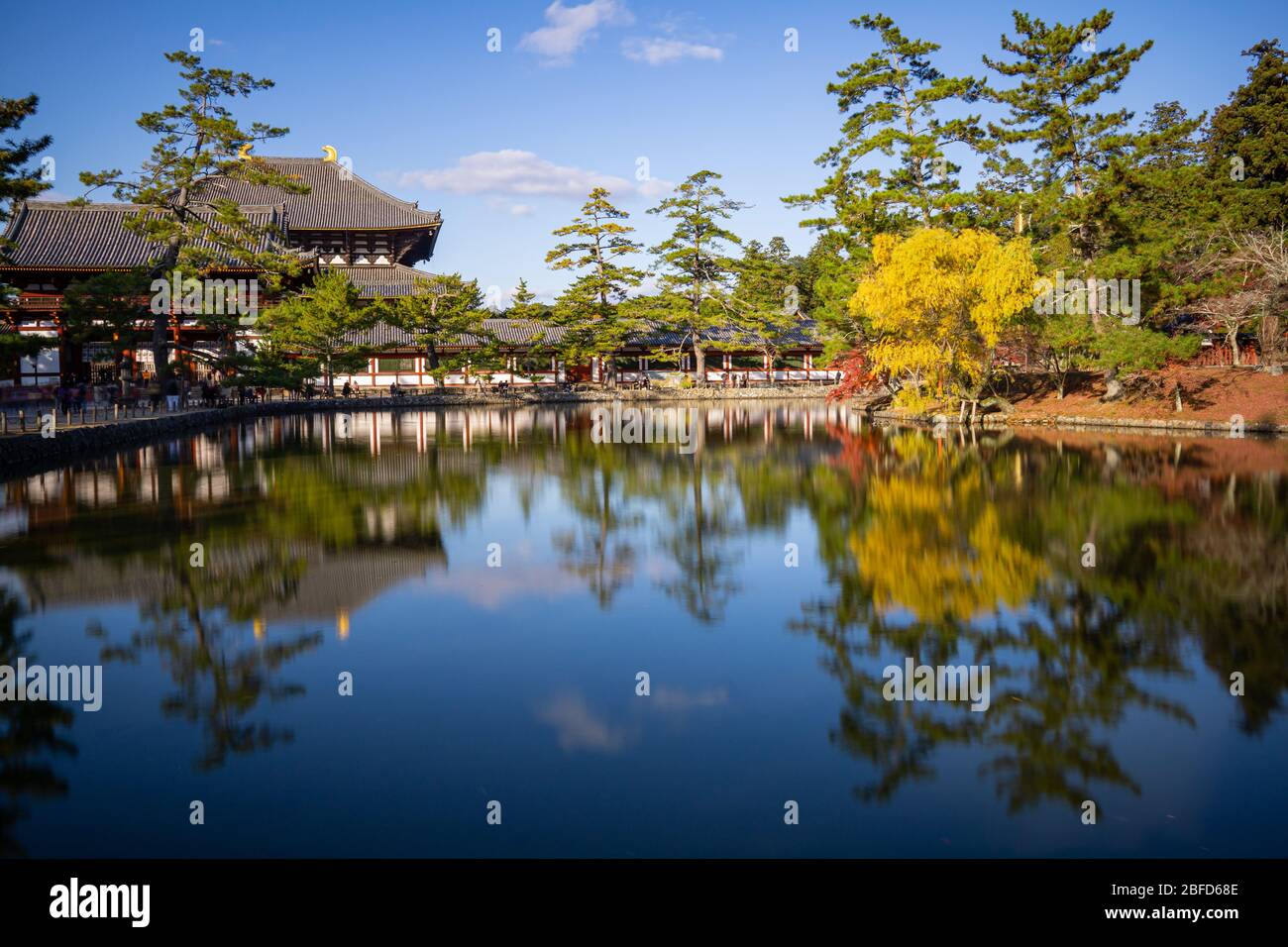 Der Nara Park ist ein großer Park in der Innenstadt von Nara, einer der ältesten Parks in Japan, der 1880 gegründet wurde. Über tausend Rehe sind zum Symbol der Th geworden Stockfoto