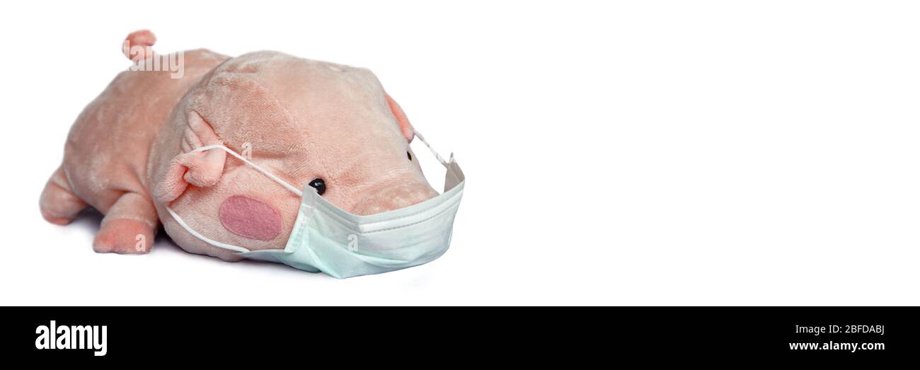 Stofftier Schwein mit einer medizinischen Gesichtsmaske isoliert auf weißem Panorama-Hintergrund, Covid-19 Coronavirus Epidemie und Kinder-Konzept Stockfoto