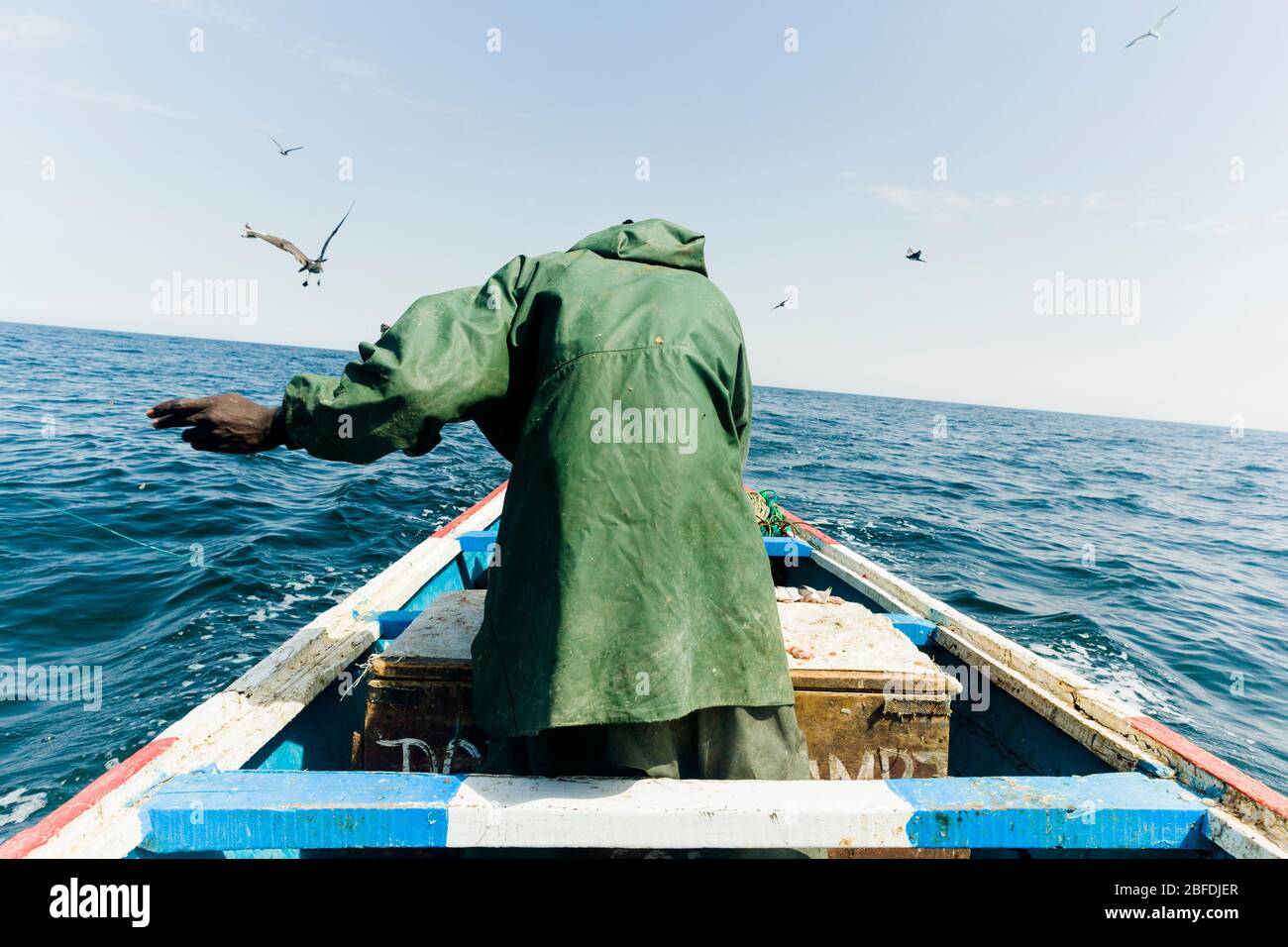 Ein Mitglied der Fischereicrew, das eine lange Schlange vor der Küste von Nouakchott, Mauretanien, baitet. Stockfoto
