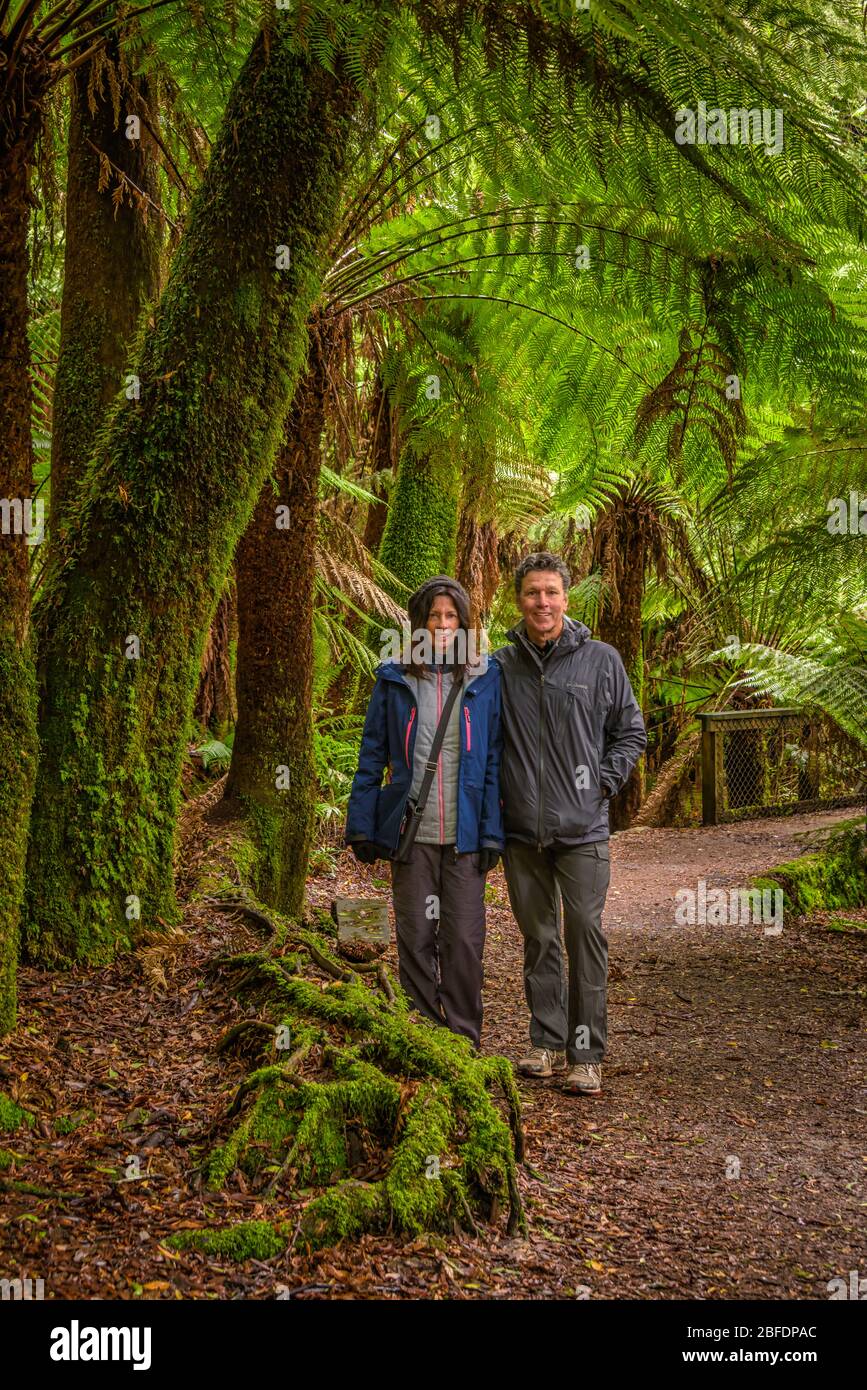 Ein Paar steht unter einem riesigen Baumfarn im üppigen gemäßigten Wald auf dem Weg zu den St Columba Falls an der Nordostküste Tasmaniens. Stockfoto