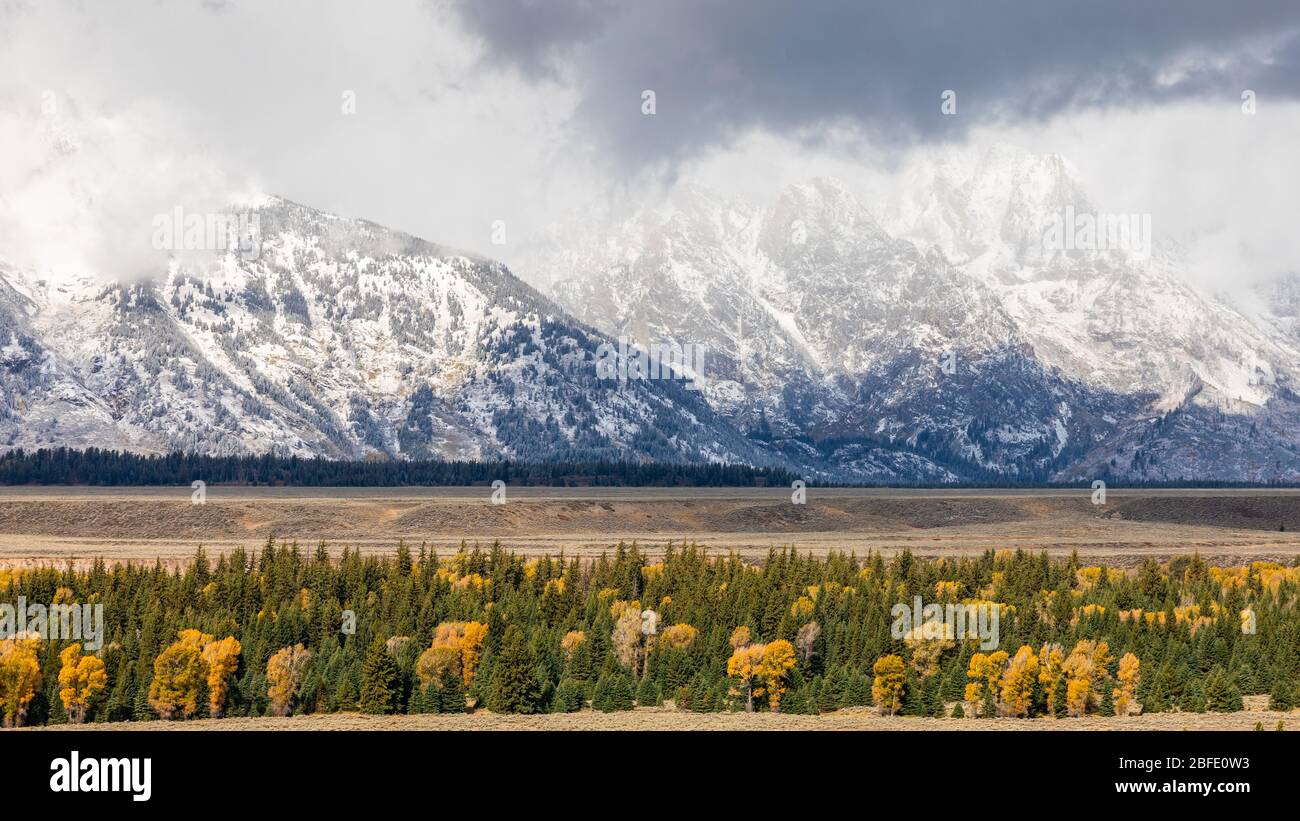 Schneebedeckte Berge Gipfel des Grand Teton umgeben von bunten Bäumen im Herbst des Grand Teton National Park, Wyoming, USA. Stockfoto