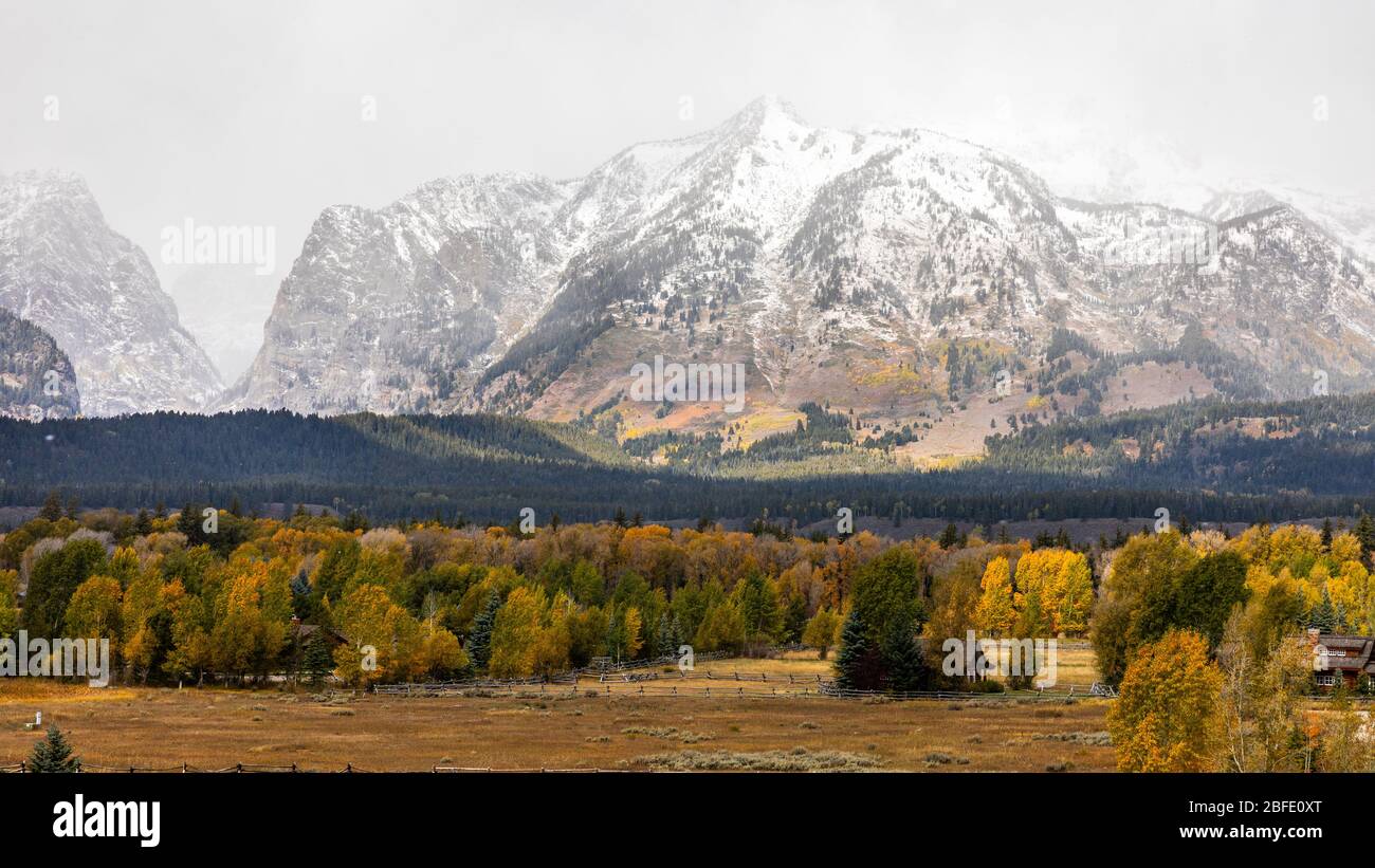 Schneebedeckte Berge Gipfel des Grand Teton umgeben von bunten Bäumen im Herbst des Grand Teton National Park, Wyoming, USA. Stockfoto