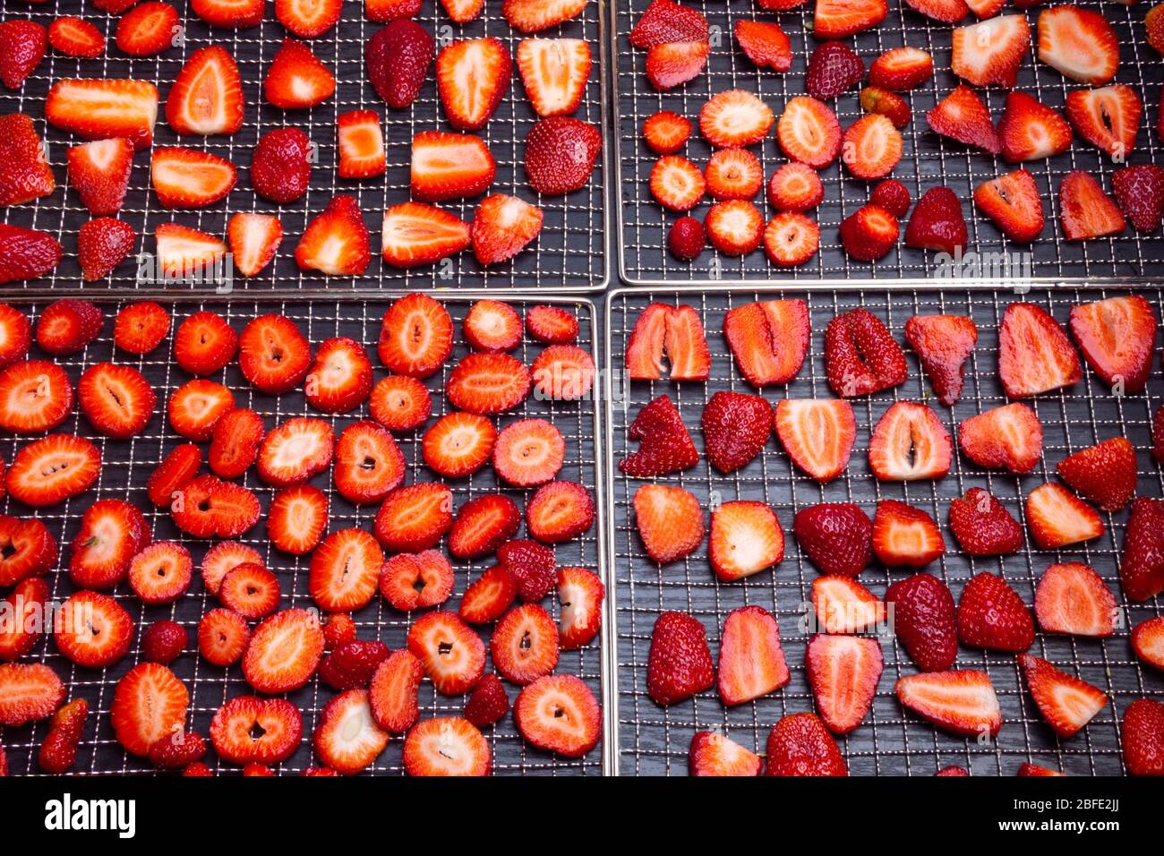 In Scheiben geschnittene reife Erdbeeren in Trockentabletts auf Holzhintergrund, frische Beeren Makro. Gesunde Snacks (Chips) , Mahlzeit, Draufsicht, Ansicht von oben Stockfoto