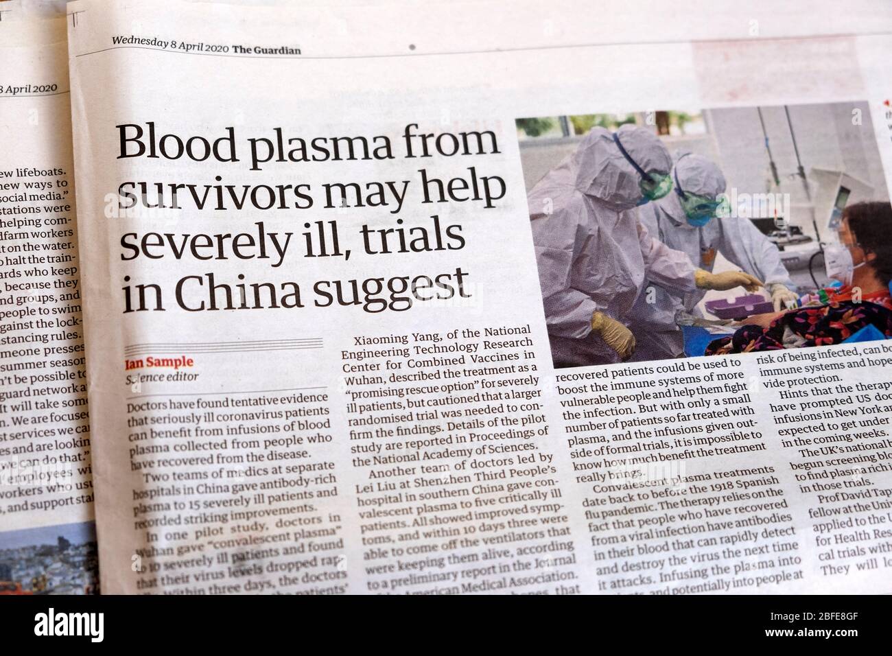 Guardian Zeitung Artikel auf der Innenseite 'Blutplasma von Überlebenden kann schwer krank helfen, Studien in China suggerieren' 8 April 2020 London England UK Stockfoto