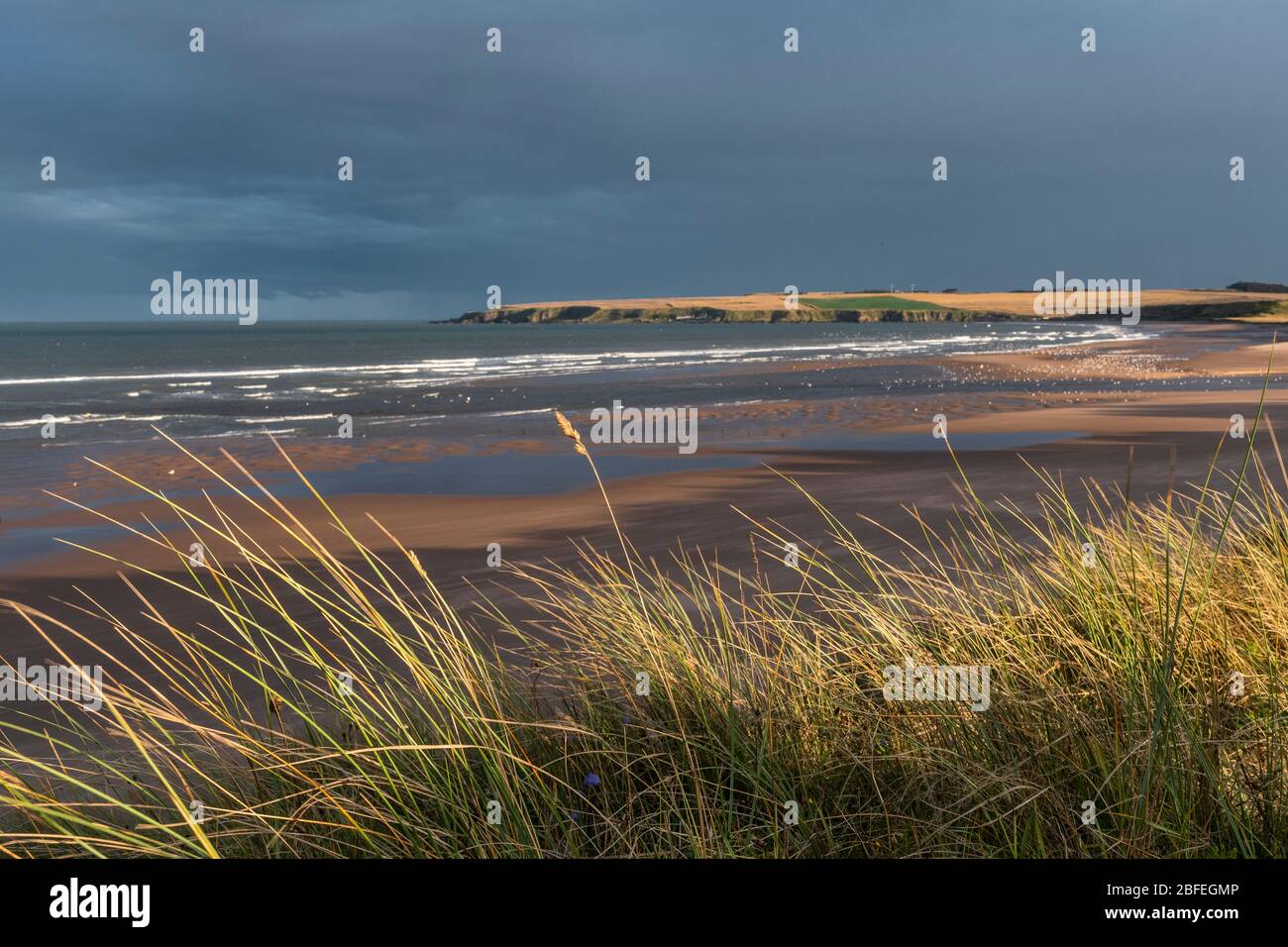 Lunan Bay, Angus Stockfoto