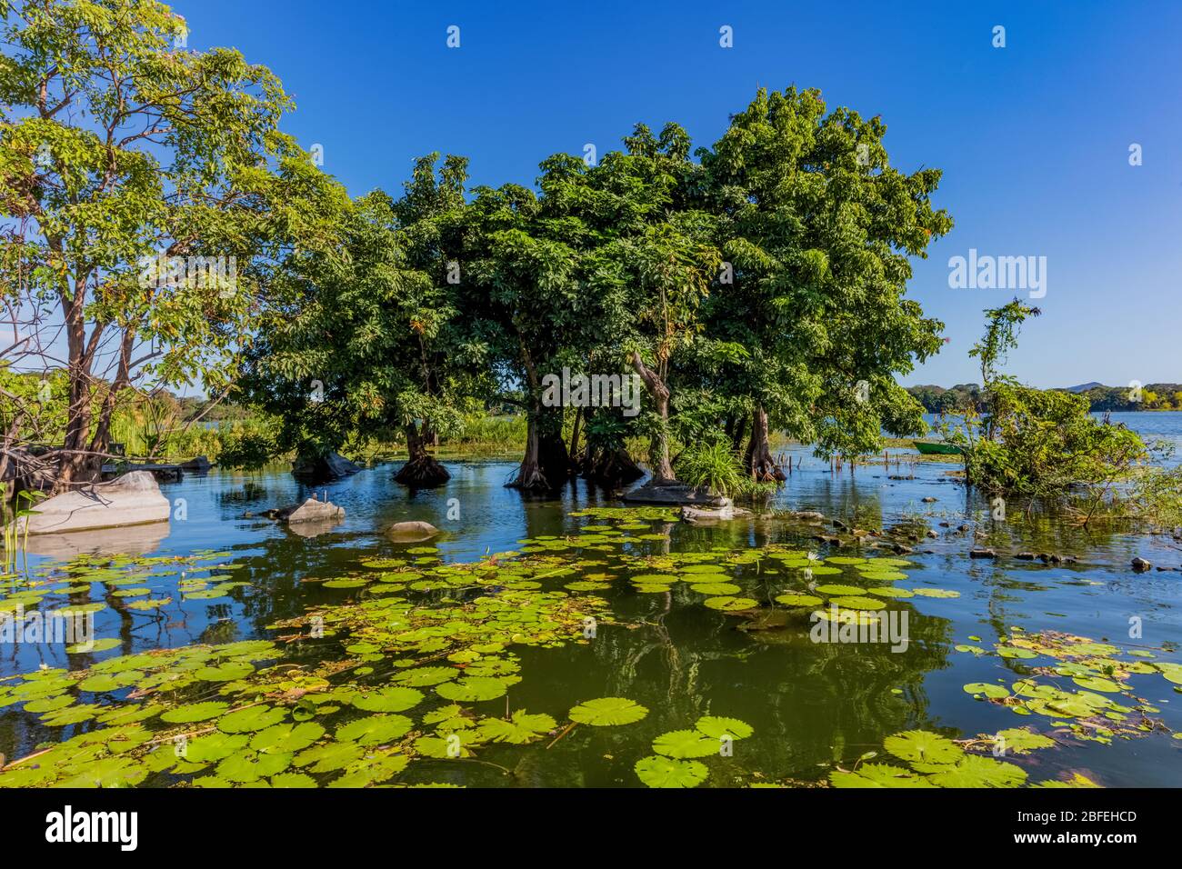 Landschaften von Las Isletas de Granada Nicaragua See Stockfoto