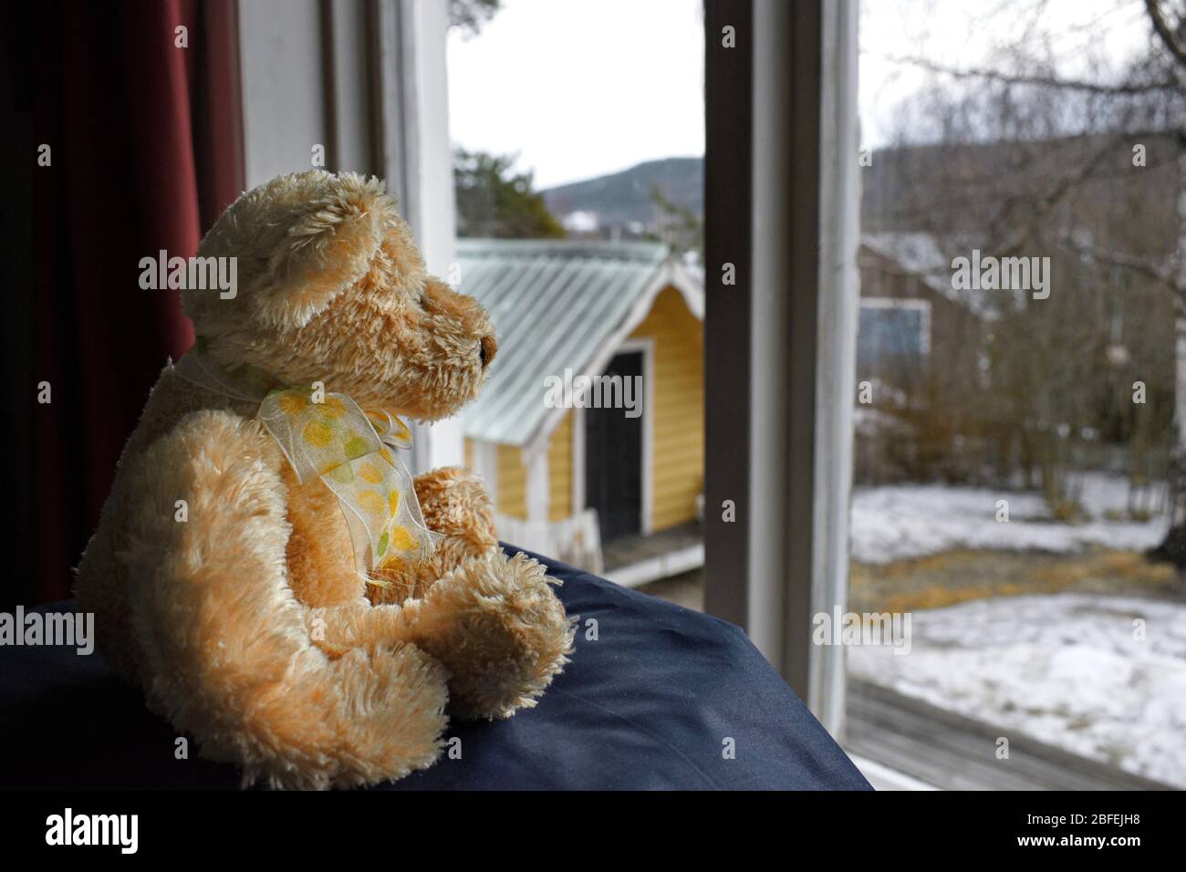 Ein Teddybär sitzt vor einem Fenster und blickt auf einen schneebedeckten Garten. Stockfoto