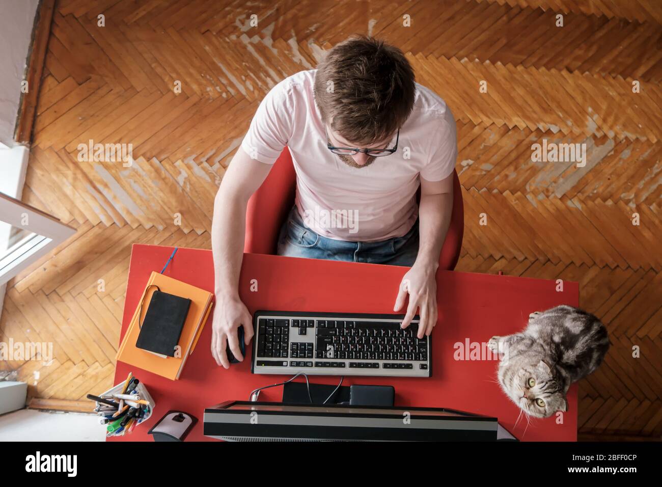 Mann arbeitet ferngesteuert zu Hause auf einem Computer, neben sitzt seine liebenswerte Katze. Konzept der Selbstisolierung während einer Pandemie. Lifestyle. Stockfoto