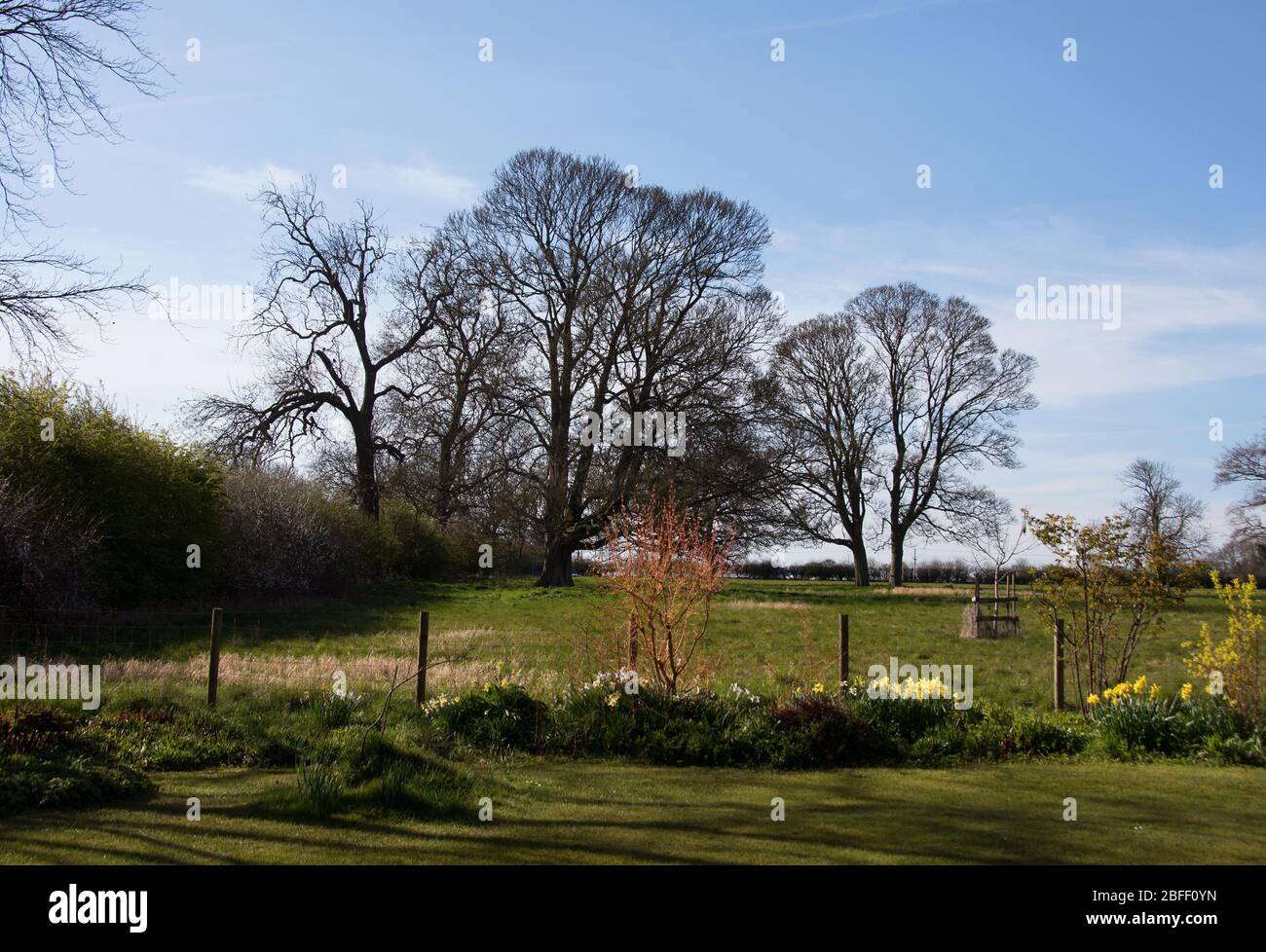 Frühlingsmorgen im April in einem Lincolnshire Landgarten Stockfoto