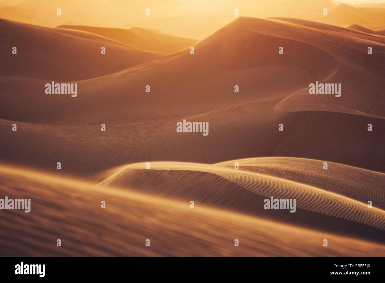 Sanddünen in Wüstenlandschaft bei schönem Sonnenuntergang. Abu Dhabi, Vereinigte Arabische Emirate Stockfoto