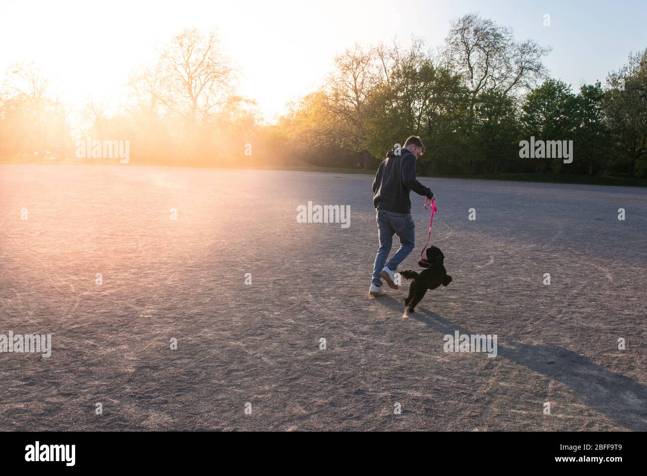 Ein Teenager rennt mit seinem Hund während der Sperrung im April 2020 in einen Londoner Park in den Sonnenuntergang Stockfoto