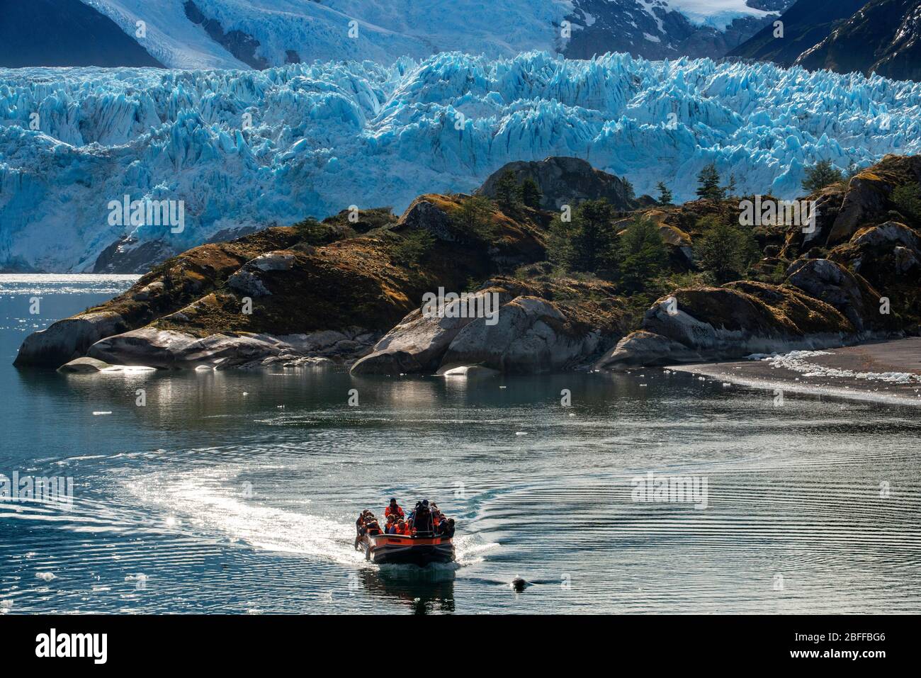 Peale's Dolphins auf einem Boot im Amalia Gletscher am Rand des Sarmiento Kanals - Skua Gletscher - Bernardo O'Higgins Nationalpark in Patagoni Stockfoto