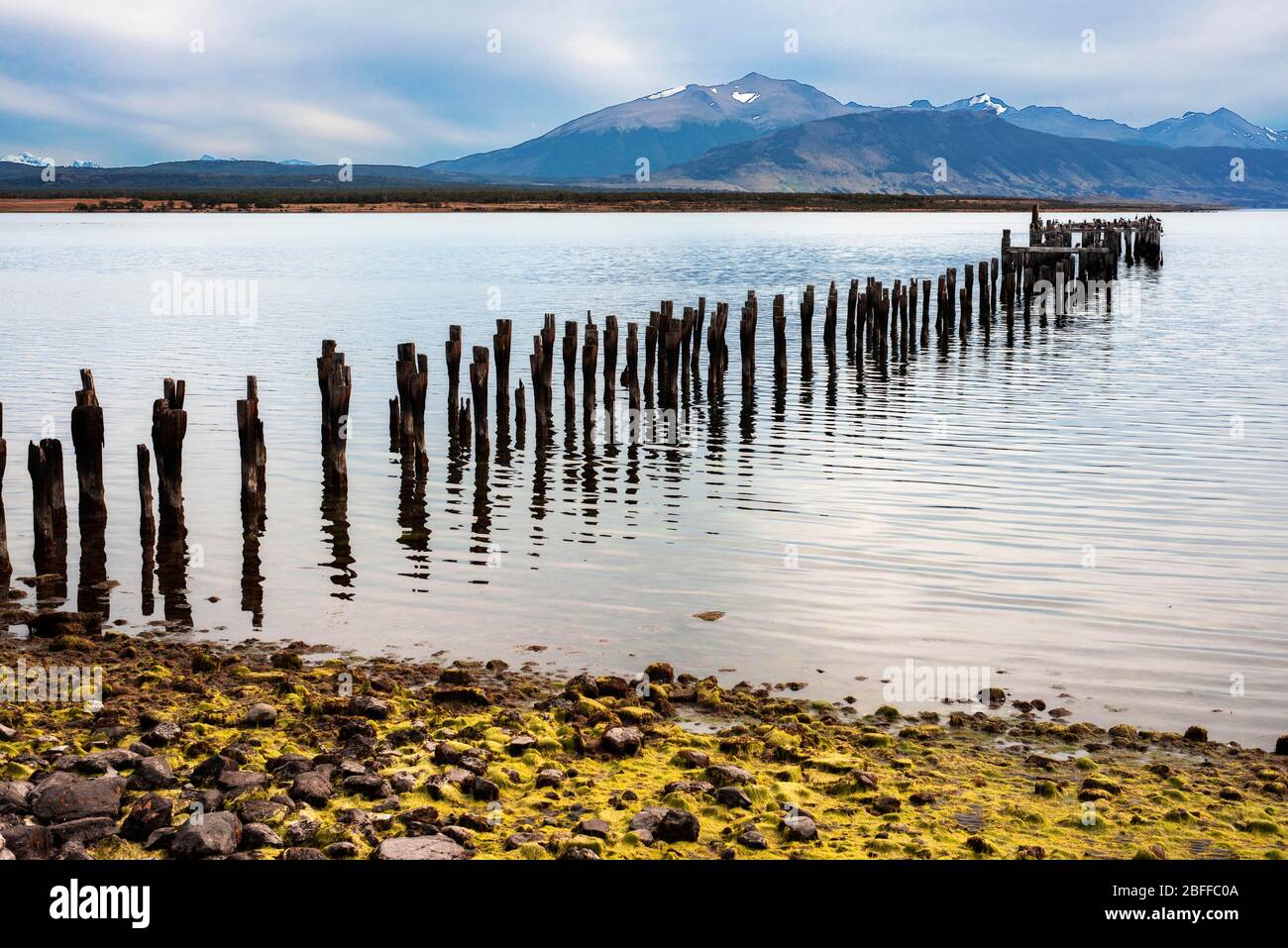 The Last Hope Sound Altes Dock im Golf von Almirante Montt in Patagonien Puerto Natales, Magallanes Region, Chile Stockfoto