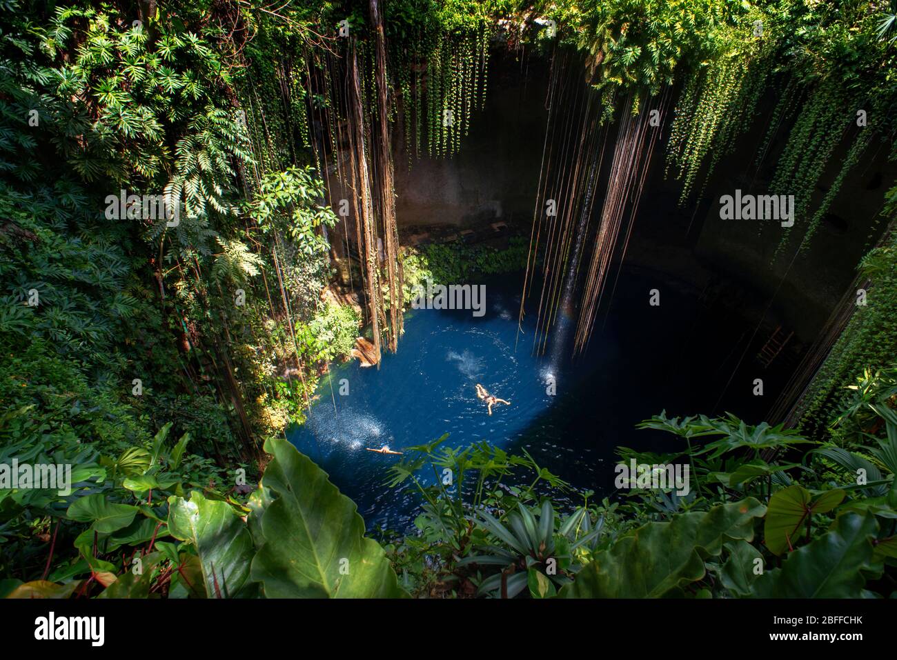 Schwimmen im Cenote Ik Kil in Yucatan, Mexiko, einem natürlichen Grube oder Doline in der Nähe von Chichen Itza. Yucatan Peninsula, Quintana Roo, Mexiko. IK Kil war heilig Stockfoto