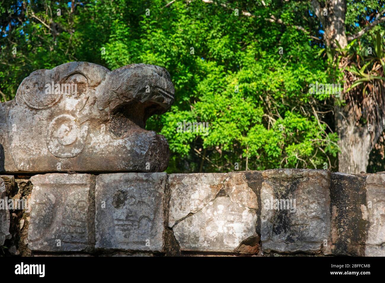 Schlangenkopf-Skulptur in der Maya-Ruine von Chichen Itza Archäologische Stätte auf der Halbinsel Yucatan, Quintana Roo, Karibikküste, Mexiko Stockfoto