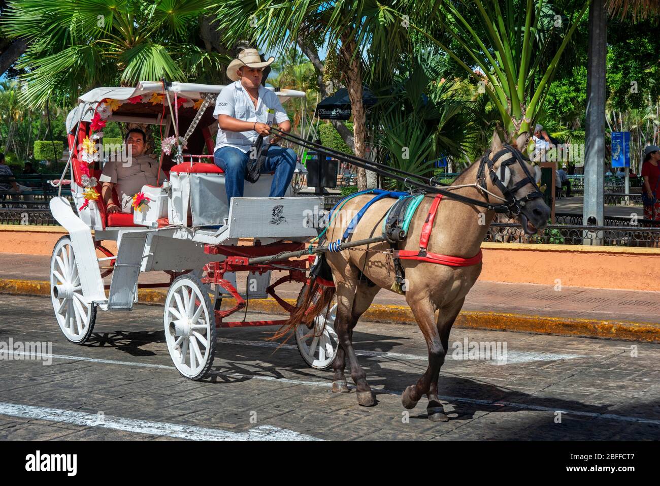 Pferdekutschen auf einer Stadtstraße vor dem plaza grande, Merida, der Hauptstadt der Yucatan, Mexiko Lateinamerika Stockfoto
