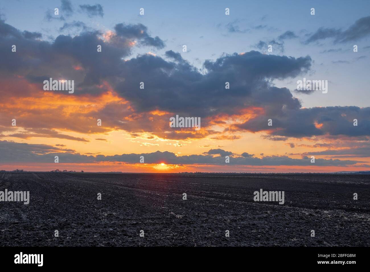 Sonnenuntergang über landwirtschaftlichen Feld mit schwarzem Boden reich an Humus Stockfoto