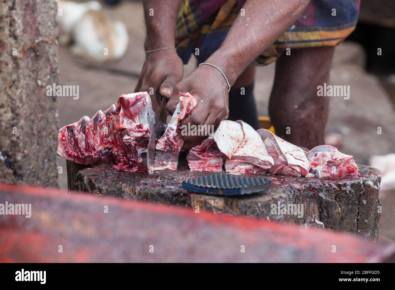 Hände mit Messer hacken Fische im Freien. Ein Fischer und Fischverkäufer verfolgt einen großen Fisch auf einem Holzstamm in Scheiben geschnitten. Fischmarkt in Negombo, Sri Lank Stockfoto