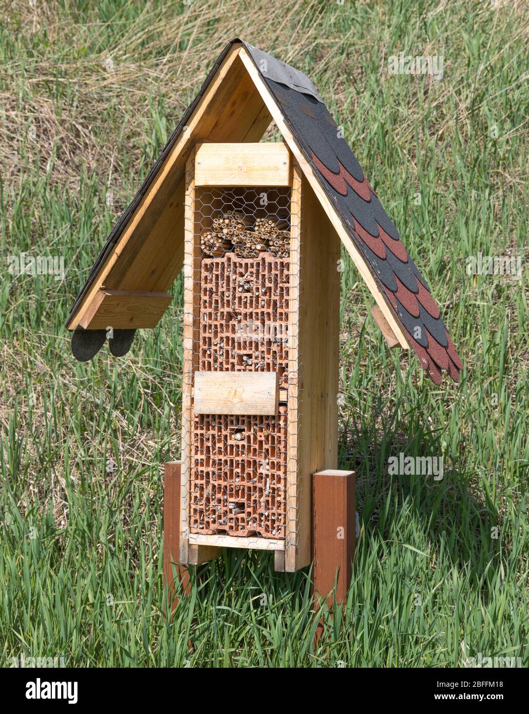 Schutz im Winter für Insekten in einem Insektenhotel Stockfoto