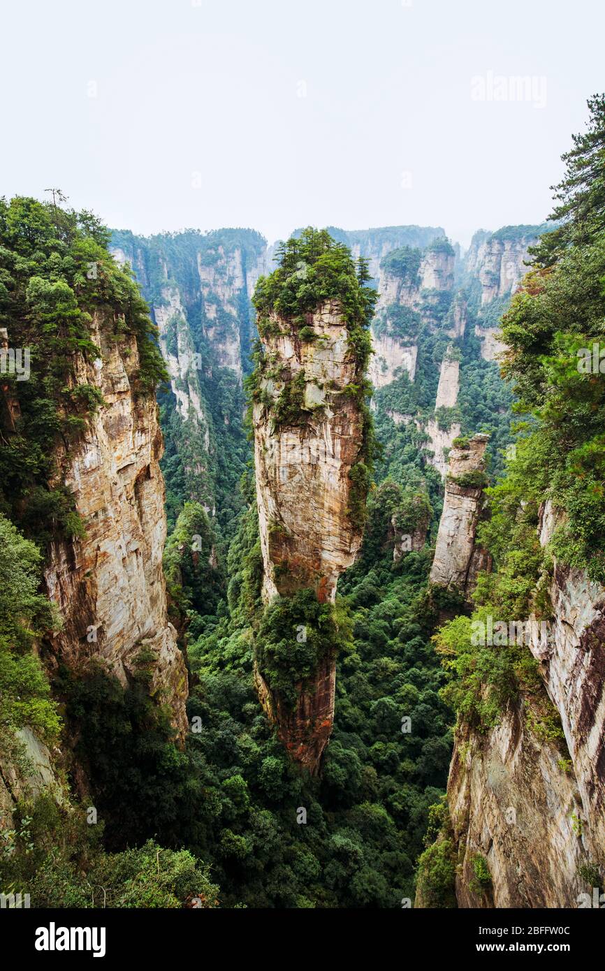 Zhangjiajie Nationalpark, UNESCO-Weltkulturerbe, Landschaftspark Wulingyuan gelegen Hunan in China Stockfoto
