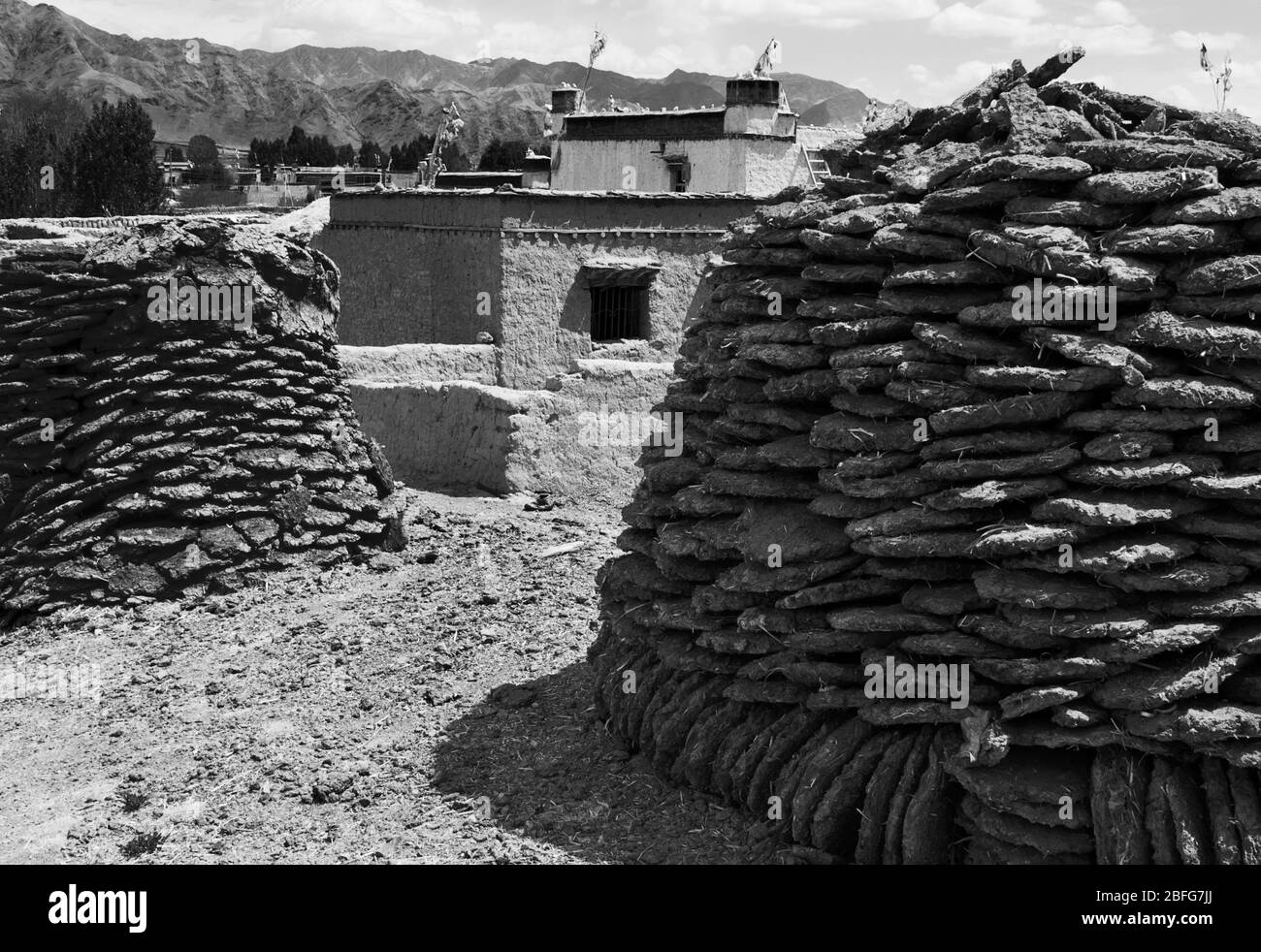 Große Mengen Yakmist werden getrocknet und für seine Verwendung als Brennstoff im Winter gelagert, Tibet Stockfoto