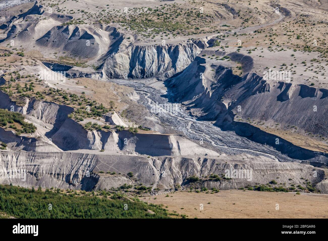 Ein Teil des Loowit Creek, der durch die Asche, die 1982 bei der Eruption Mount St Helens in Washington, USA, abgelagert wurde, führt. Stockfoto