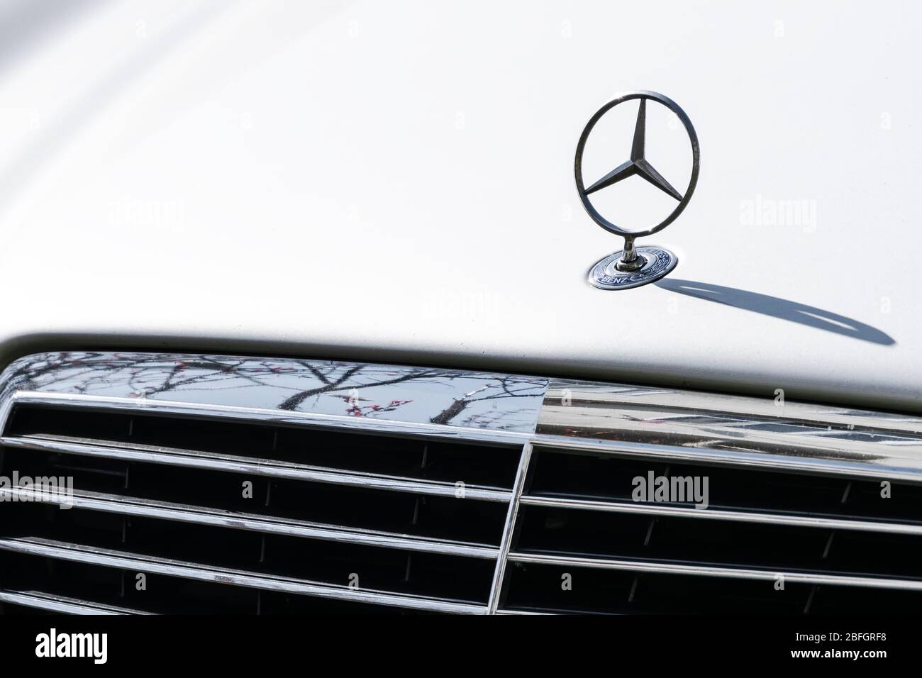 Estland, Tallinn, 14. April 2020. Mercedes Benz Logo auf der Motorhaube Stockfoto