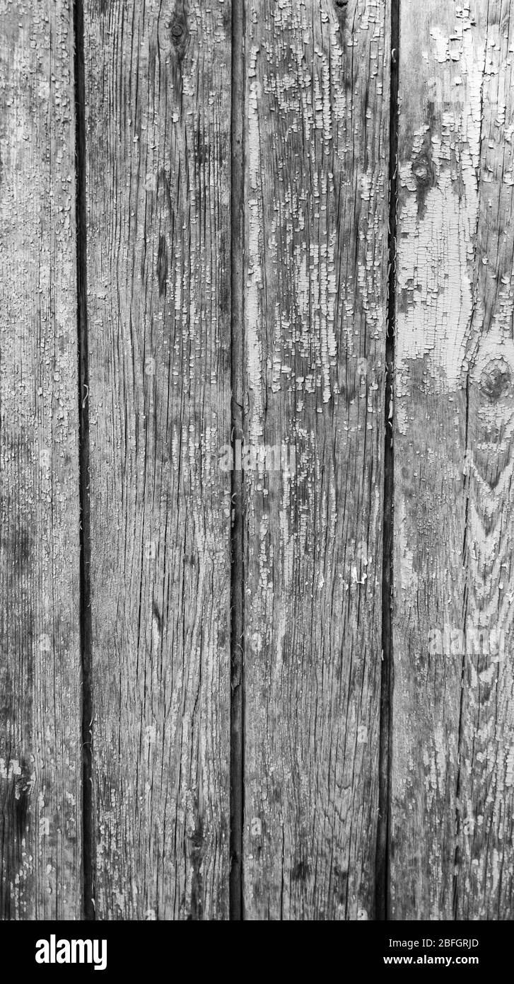 Holztür mit Peeling-Lack und Vintage-Griffen mit Platz für Text Stockfoto