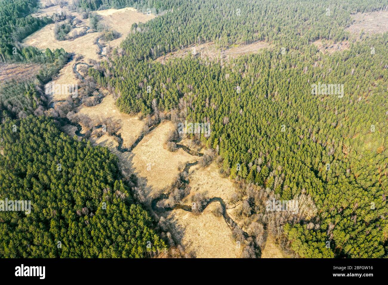 Frühlingslandschaft mit grünem Wald und kleinem gewundenen Fluss. Luftpanorama Stockfoto
