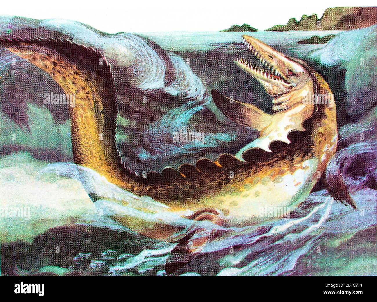 Mosasaurus, altes Reptil, Dinosaurier, prähistorisches Tier Stockfoto