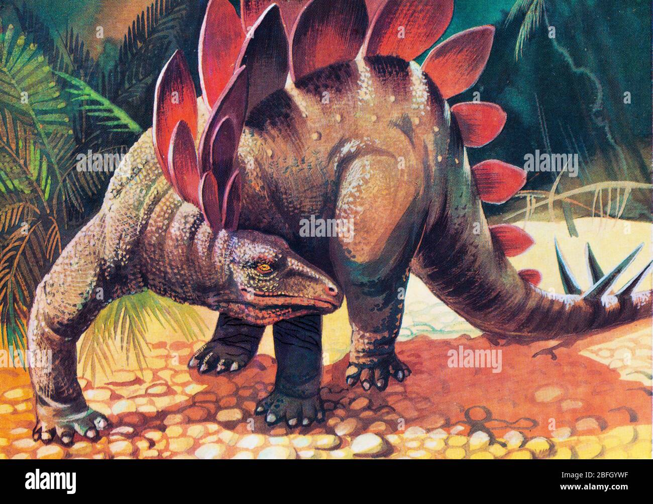 Stegosaurus, altes Reptil, Dinosaurier, prähistorisches Tier Stockfoto