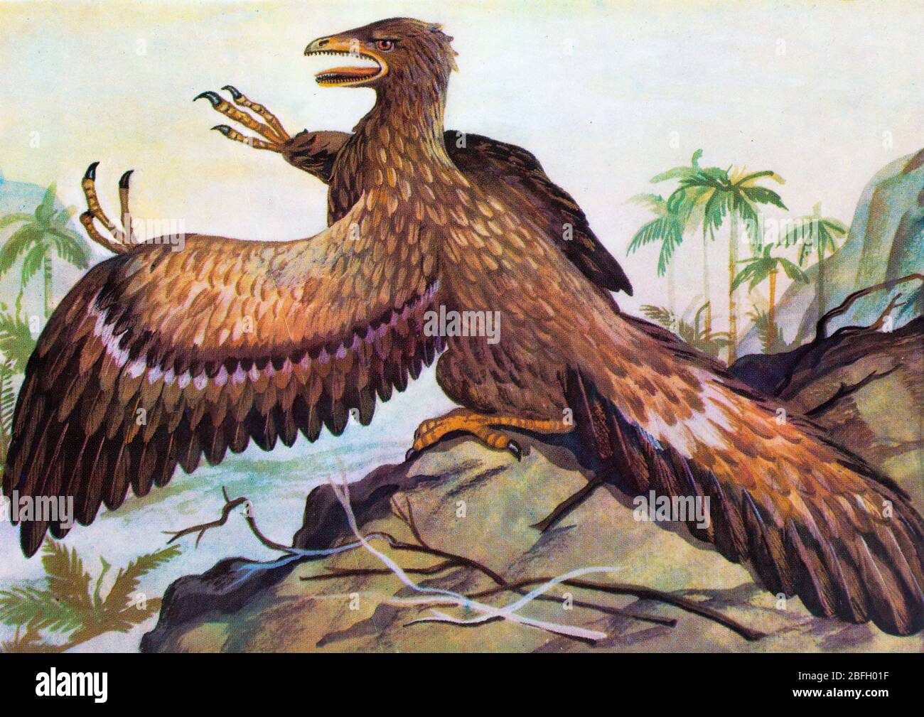 Archaeopteryx, altes Reptil, Dinosaurier, prähistorisches Tier Stockfoto
