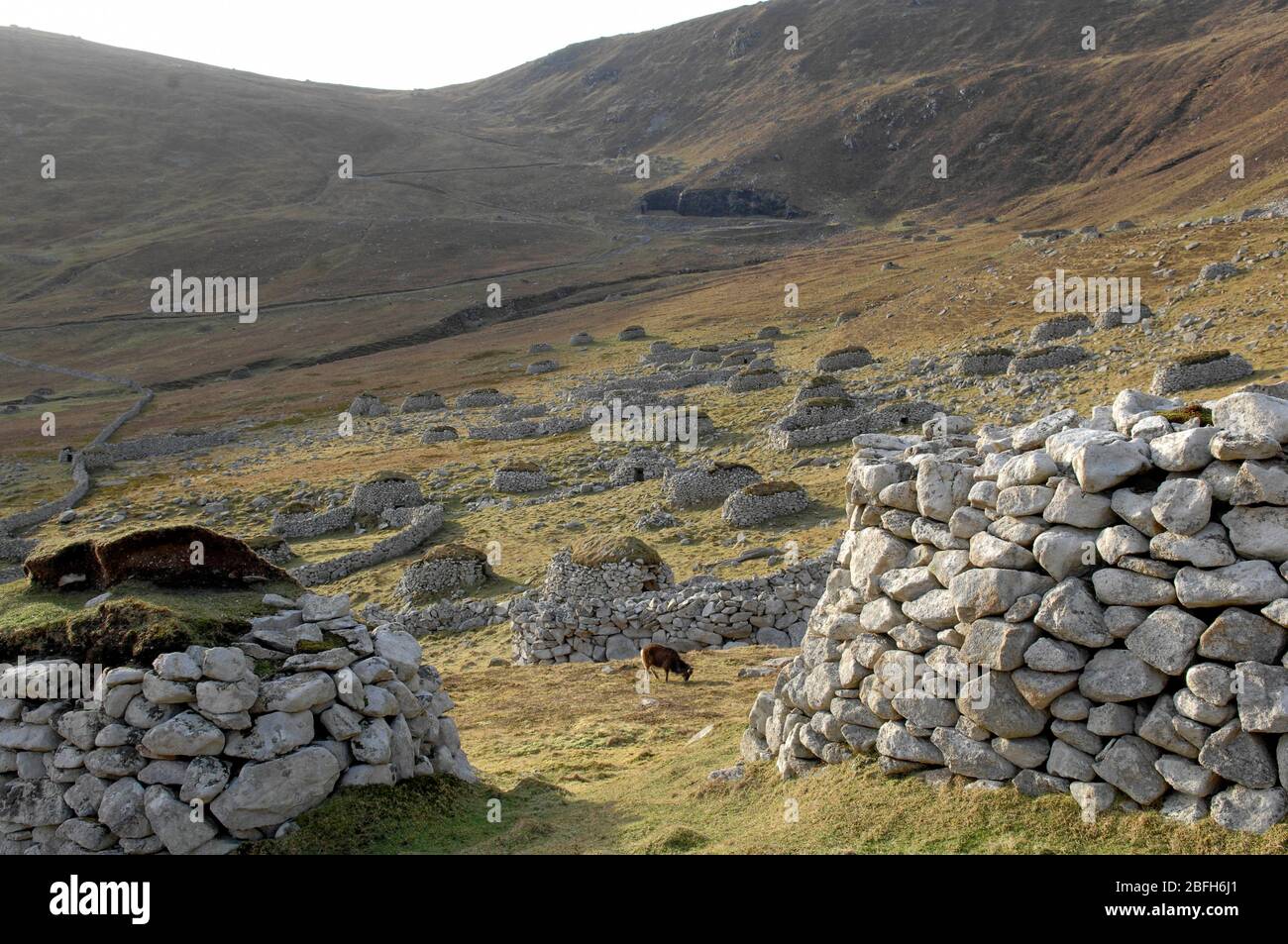 St Kilda: Village Bay St Kilda im Besitz des National Trust for Scotland. Stockfoto