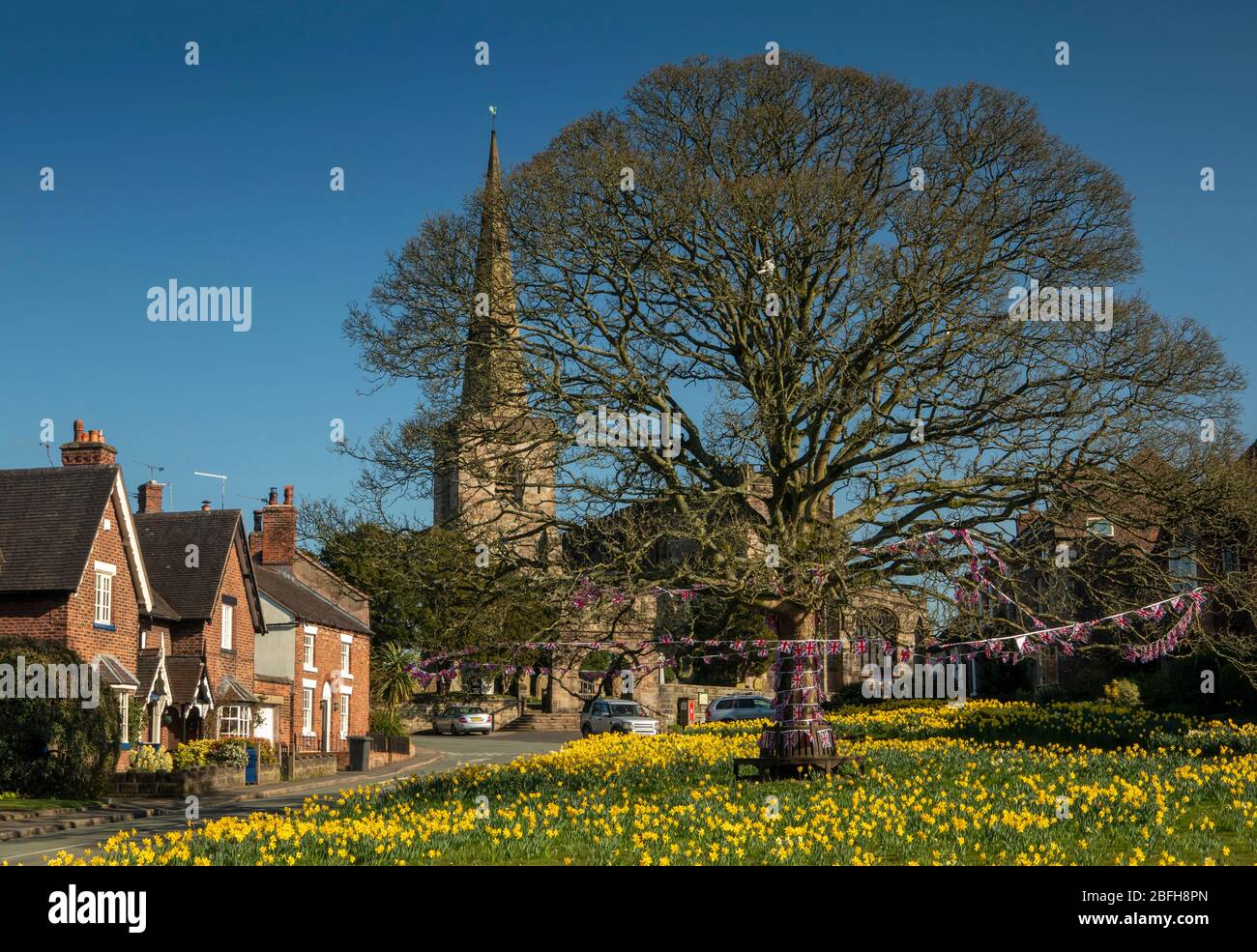 Großbritannien, England, Cheshire, Astbury, Frühling, Narzissen auf dem Dorfgrün und St. Mary’s Church Stockfoto