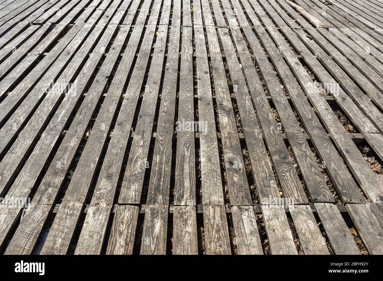Alte Parkböden aus verwitterten Holzbrettern mit Rissen und hellem Muster von Jahresringen. Textur aus Holz. Vertikale Hintergrund Nahaufnahme für Sie Stockfoto