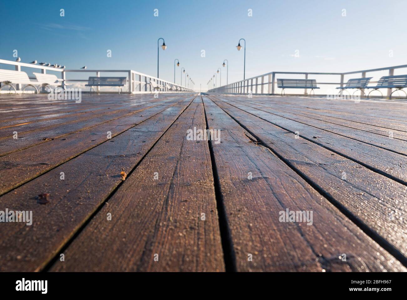 Pier während eines sonnigen Tages - eine Nahaufnahme von Holzbrettern, Möwen auf einem Geländer Stockfoto