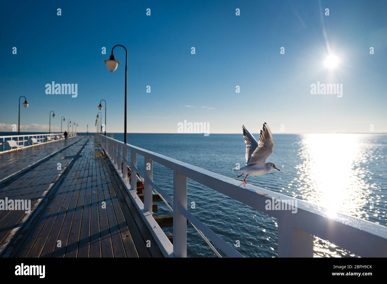 Möwen fliegen vom Handlauf an der Ostsee in Polen. Stockfoto