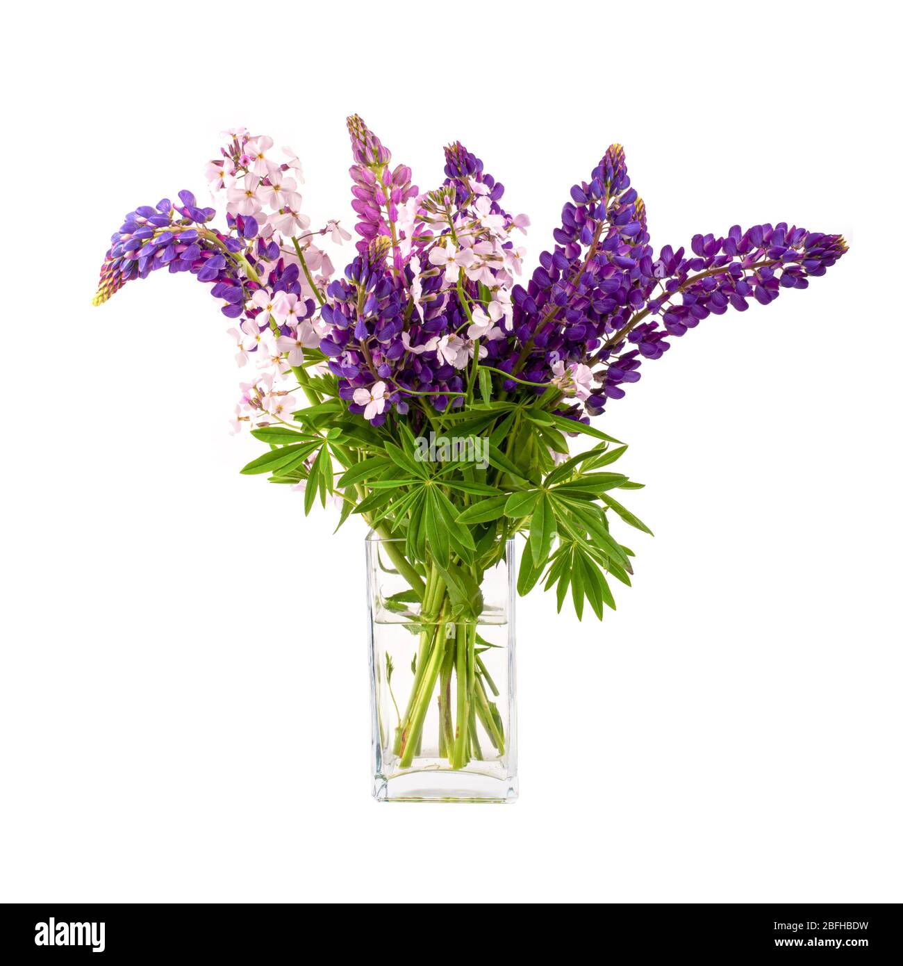Eine Glasvase voller wilder Lupinen und Phlox. Stockfoto