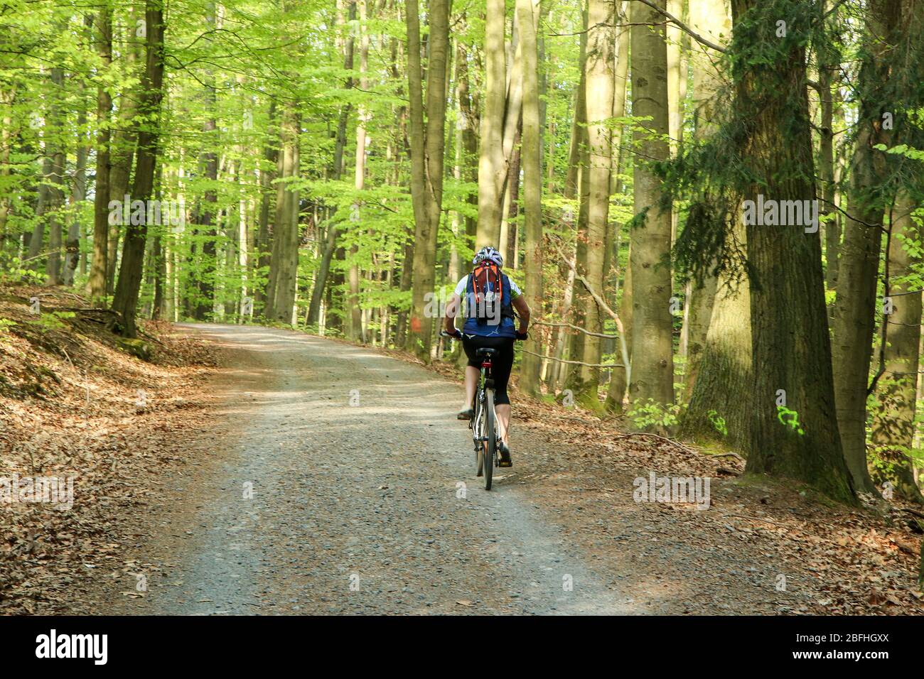 Das Bild aus dem Naturpark in Tschechien, genannt Voděradské bučiny (Voděrady´s Buchen). Mit dem Fahrrad durch den Wald fahren. Stockfoto