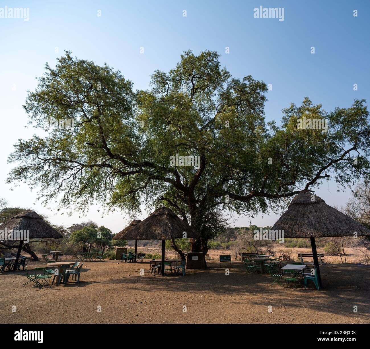 Der Timbavati Picknickplatz im Kruger Nationalpark, wo Sie aus Ihrem Auto aussteigen können Stockfoto