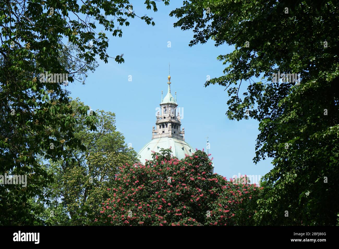 Spitze des Neuen Rathauses in Hannover Deutschland durch Baumwipfel gesehen Stockfoto