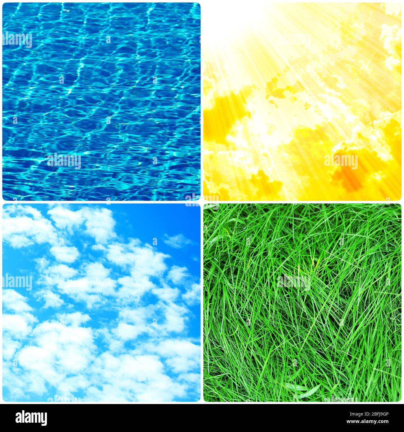 Wasser, Pflanze, Himmel und Sonne in Collage, Naturkomponenten Konzept Stockfoto