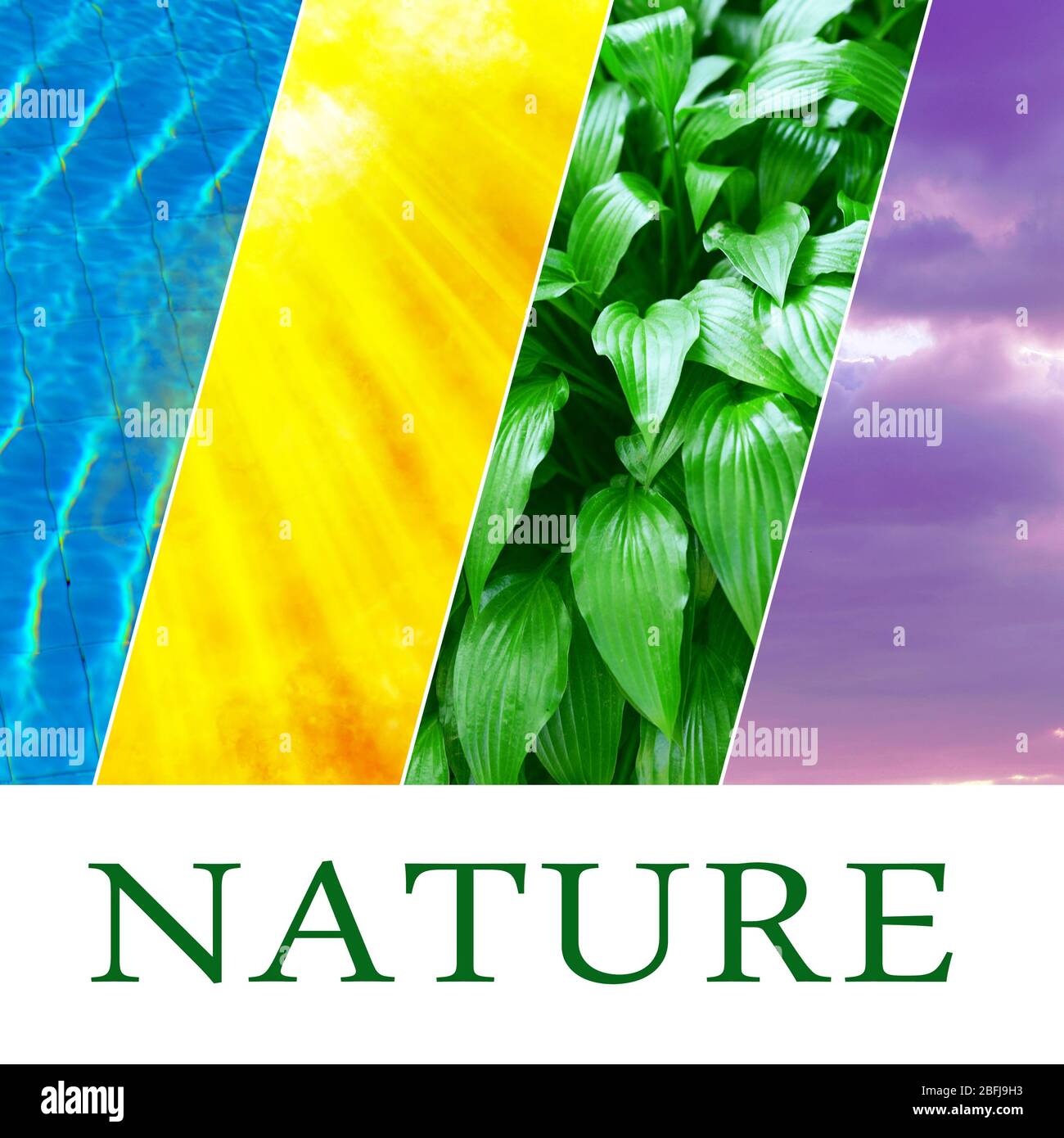 Wasser, Pflanze, Himmel und Sonne in Collage, Naturkomponenten Konzept Stockfoto