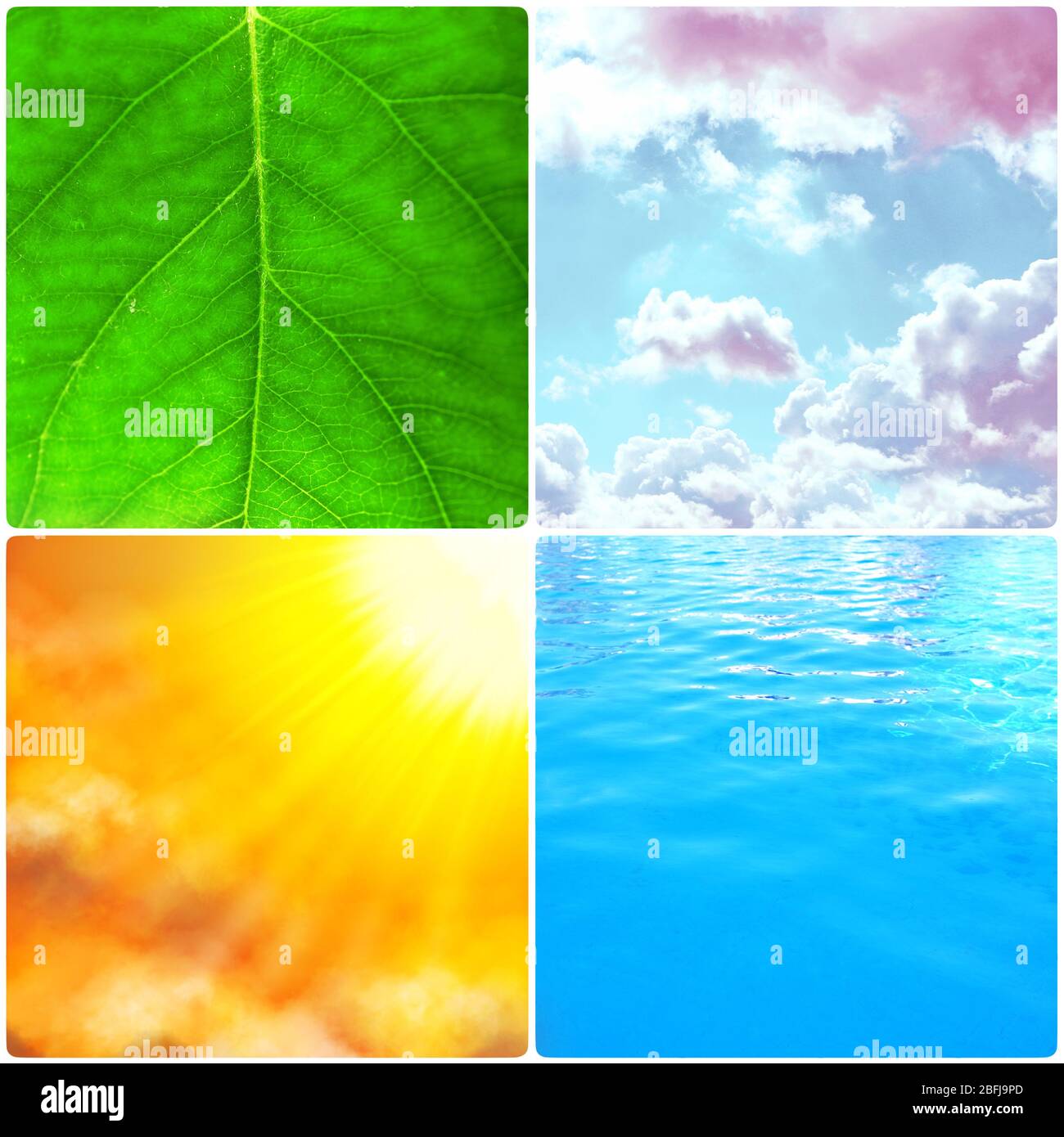 Wasser, Pflanze, Himmel und Sonne in Collage, Naturkomponenten Konzept Stockfoto